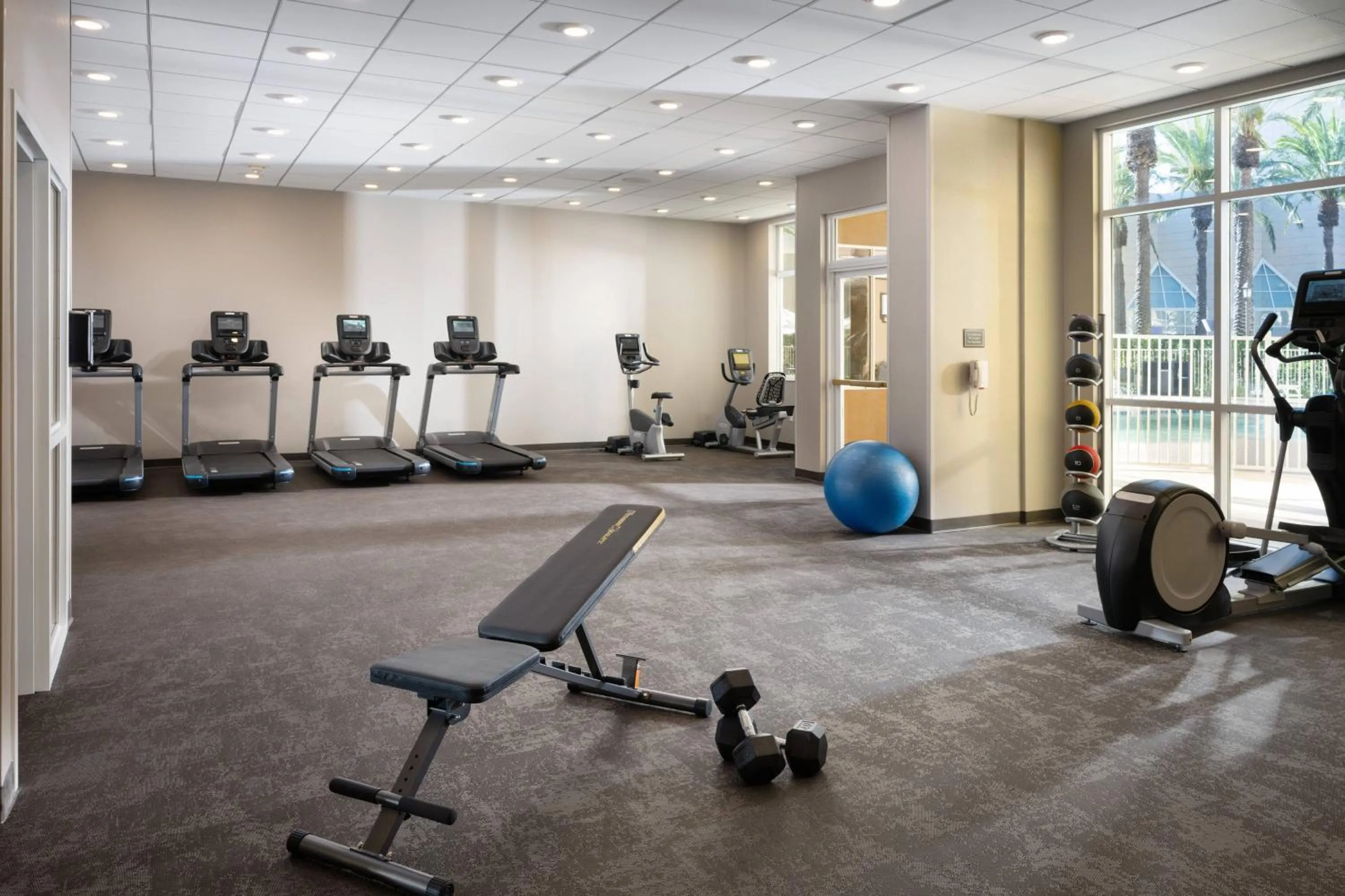 Fitness centre/facilities in Residence Inn by Marriott Anaheim Resort Area/Garden Grove