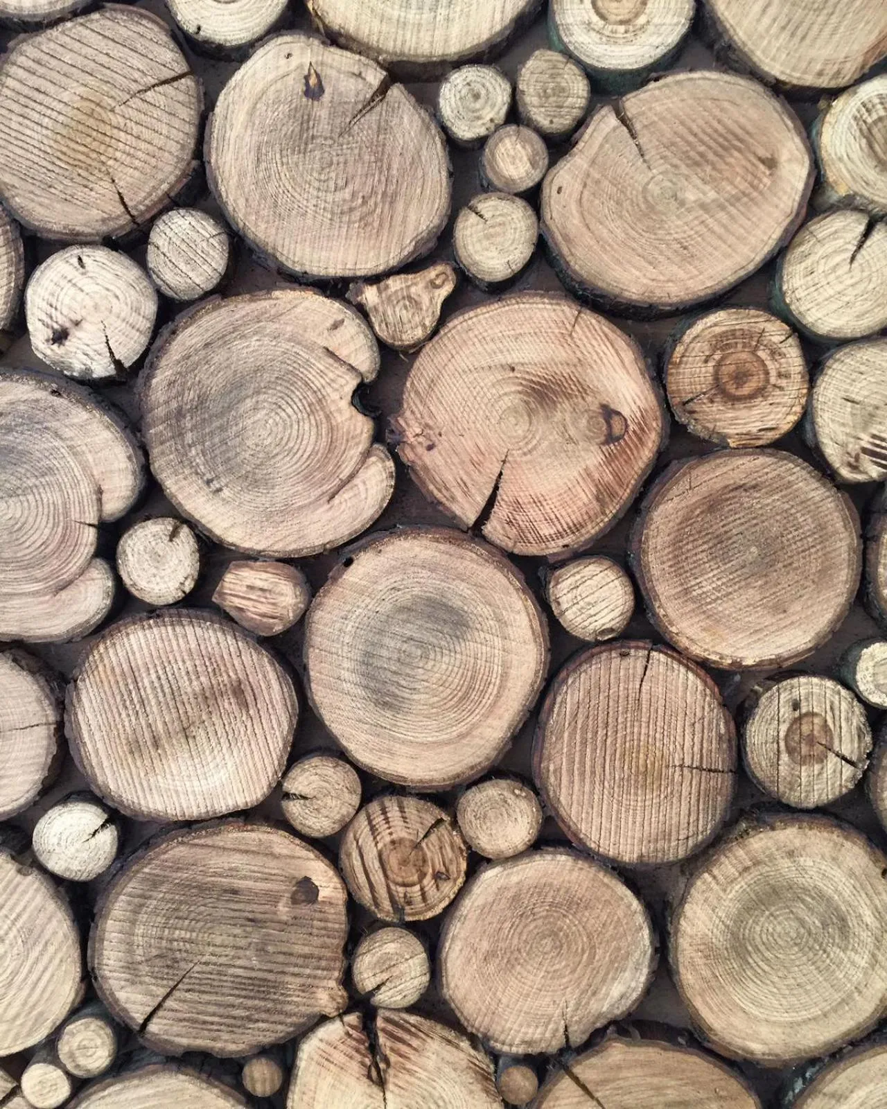 Decorative detail in Eco Urban B&B