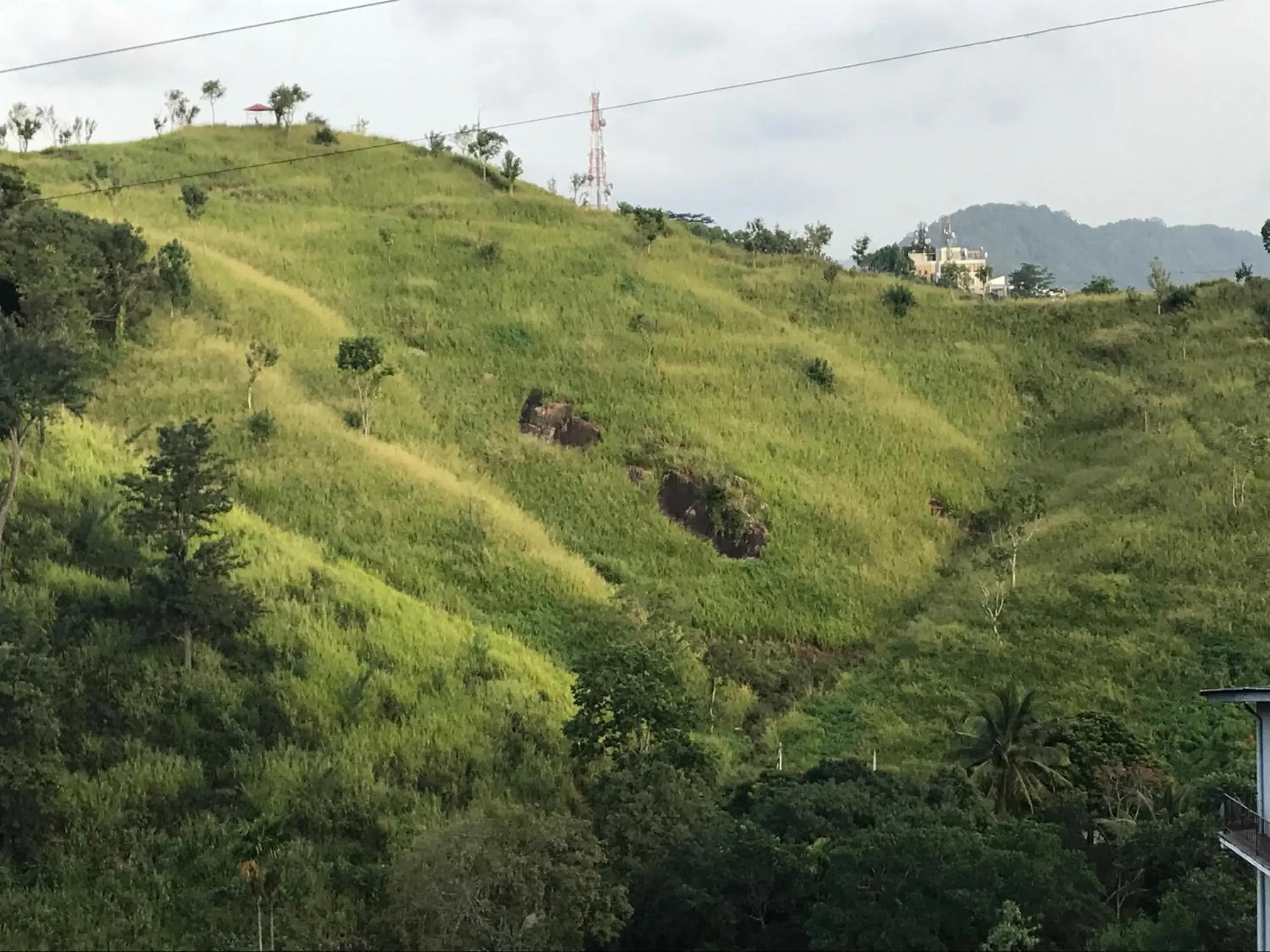 Tikiri Latha Tikiri Latha