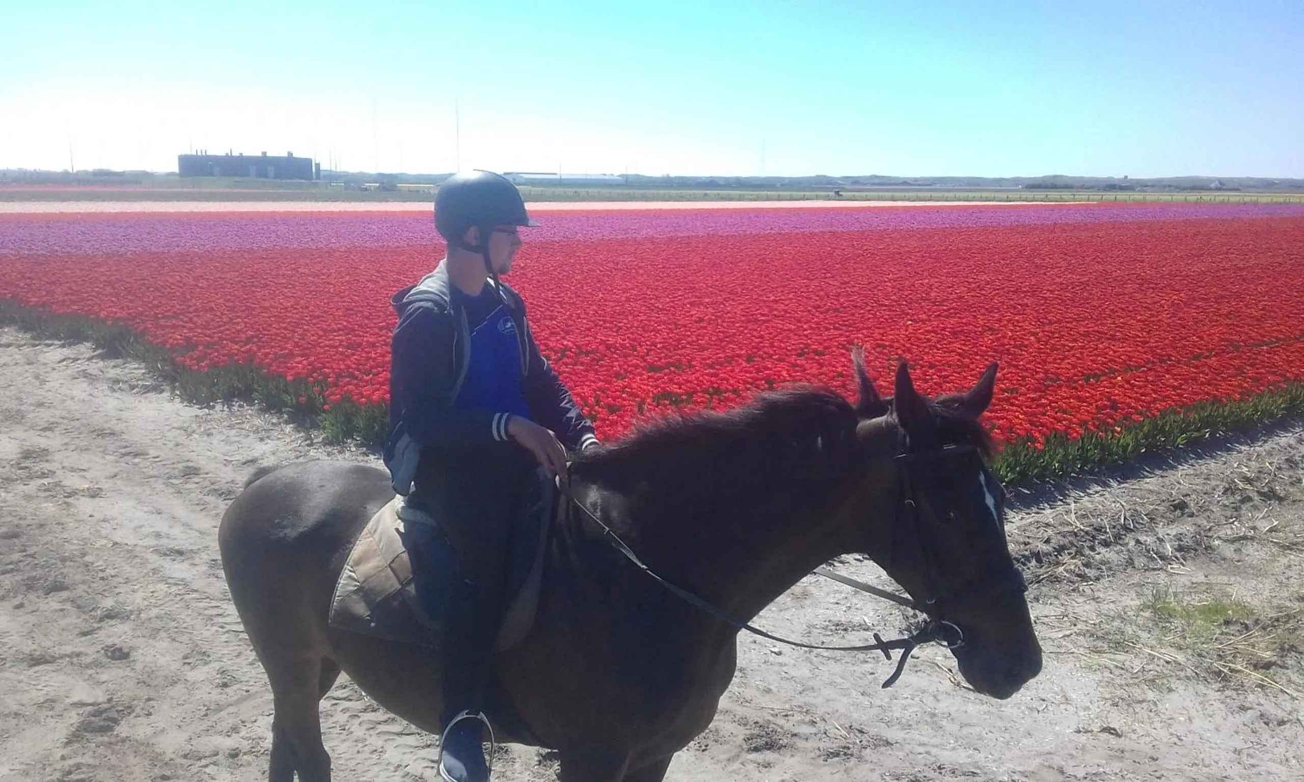 People in B&B boerderij rust, in pipowagens!