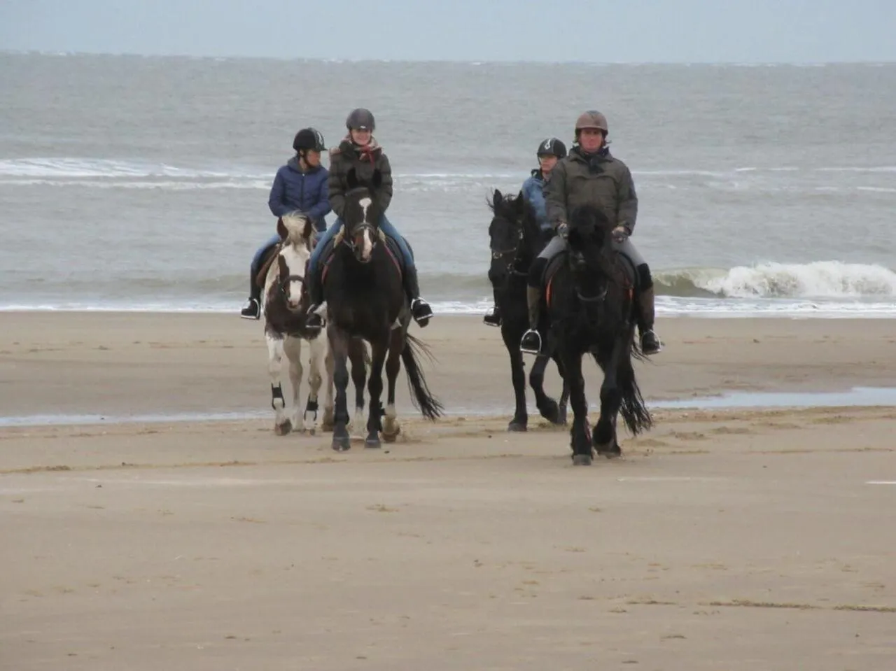 Horse-riding in B&B boerderij rust, in pipowagens!