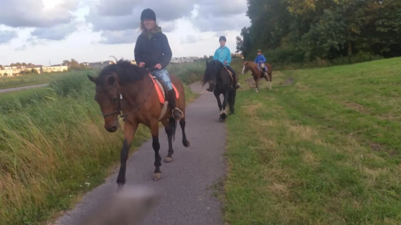 B&B boerderij rust, in pipowagens!