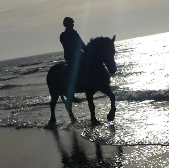 B&B boerderij rust, in pipowagens!