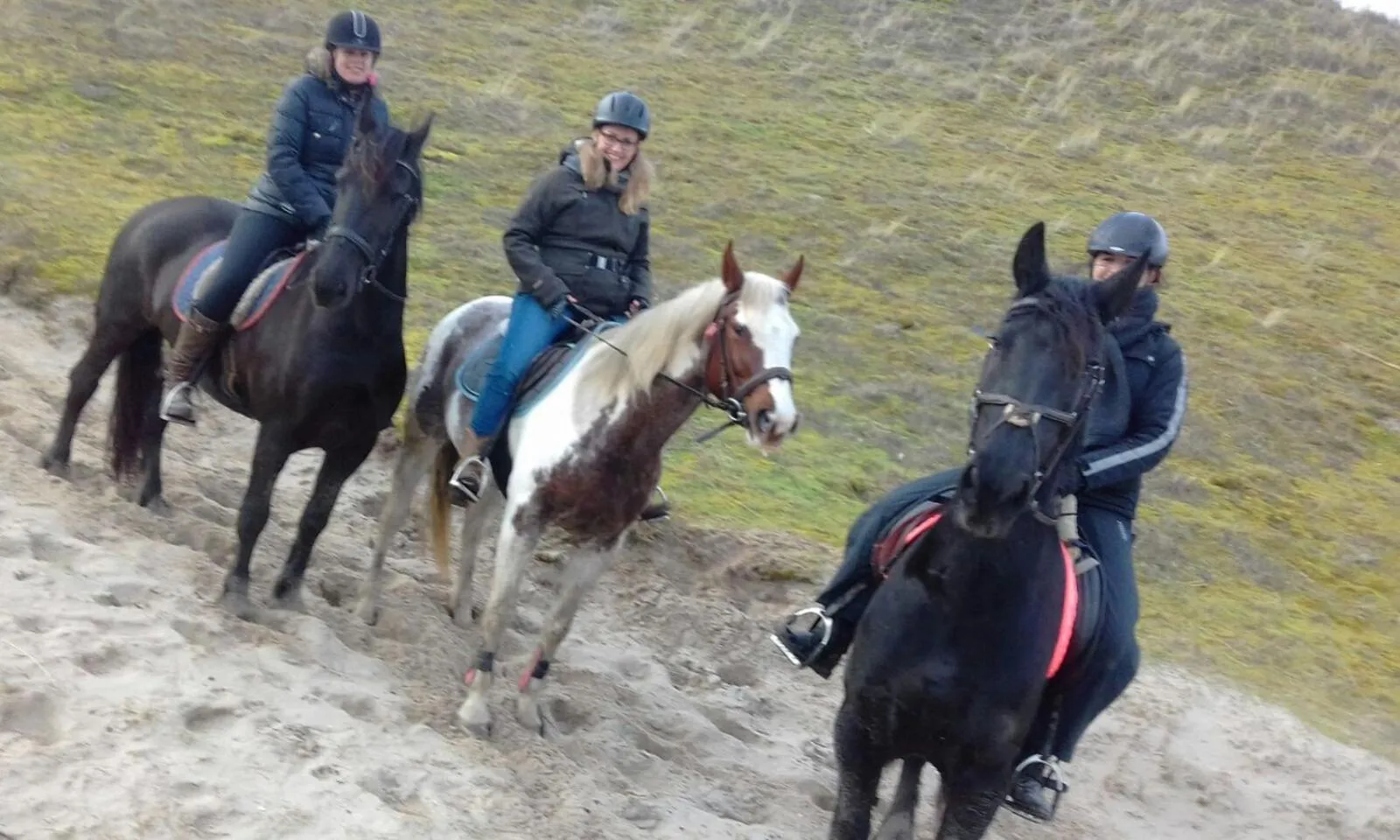 B&B boerderij rust, in pipowagens!