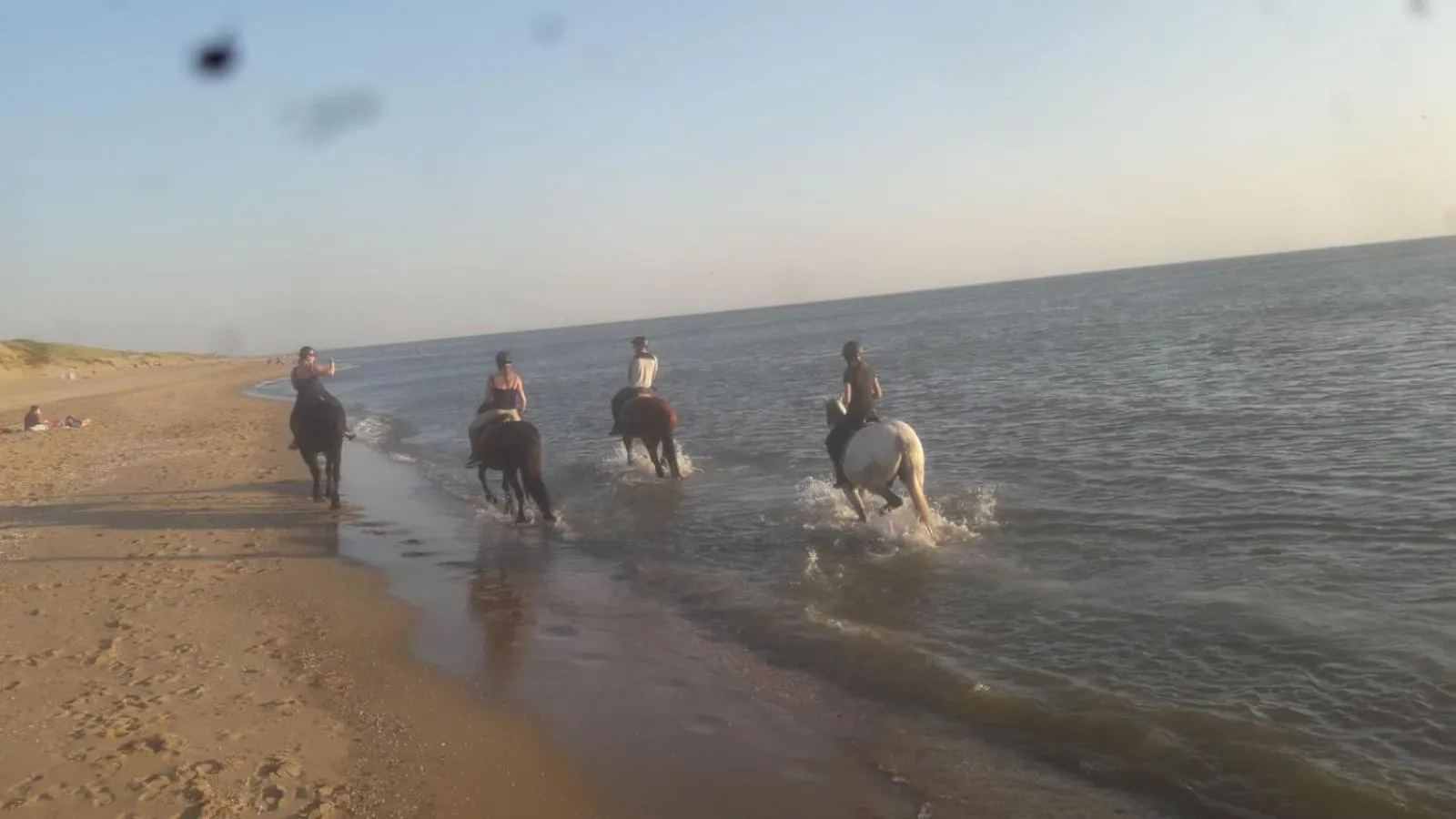 B&B boerderij rust, in pipowagens!