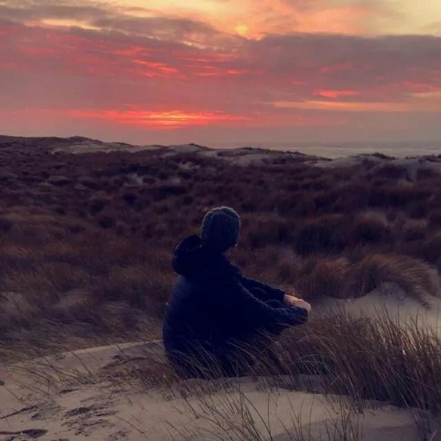 Natural landscape in B&B boerderij rust, in pipowagens!