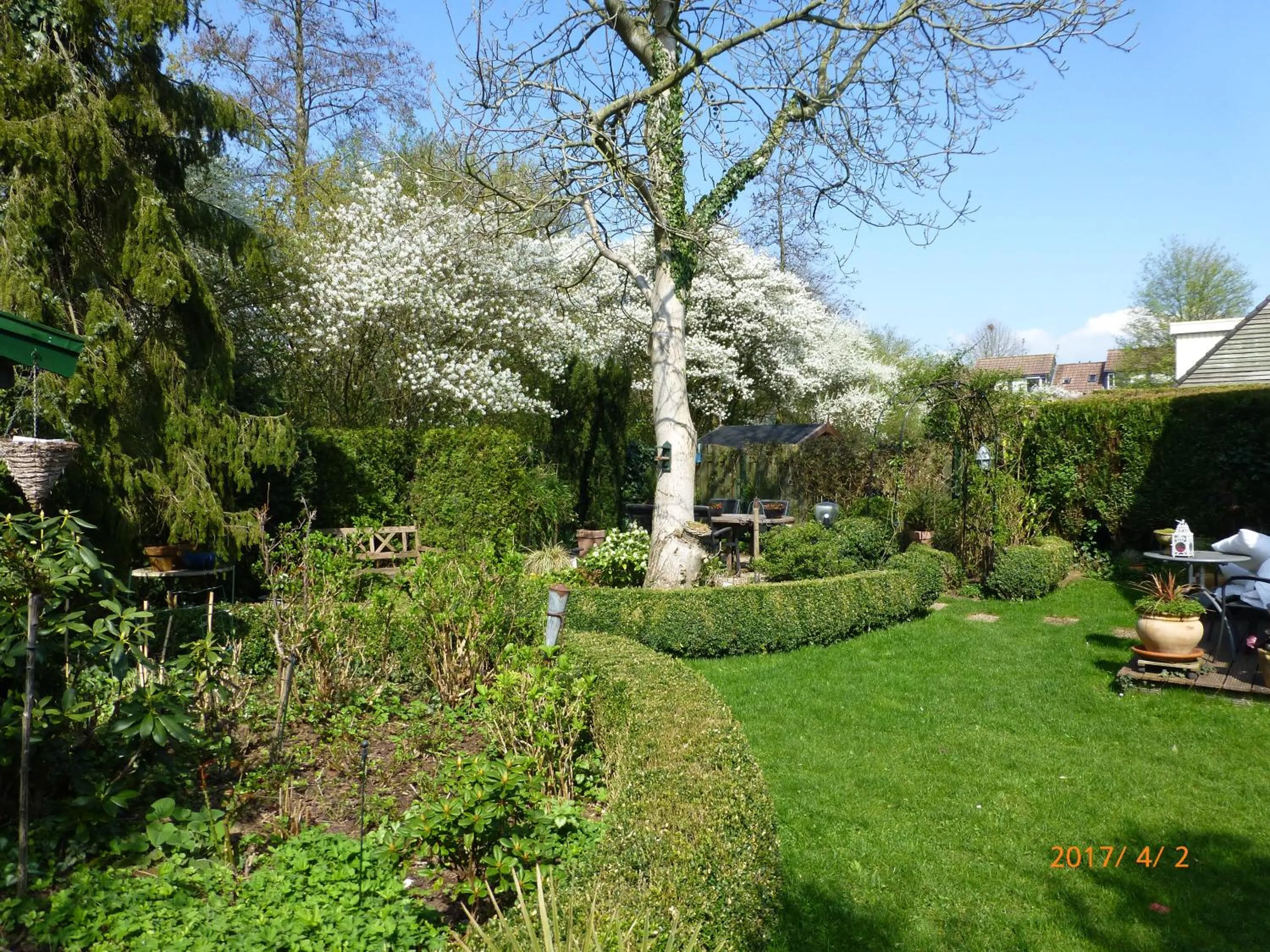 Garden in Wiersse 68