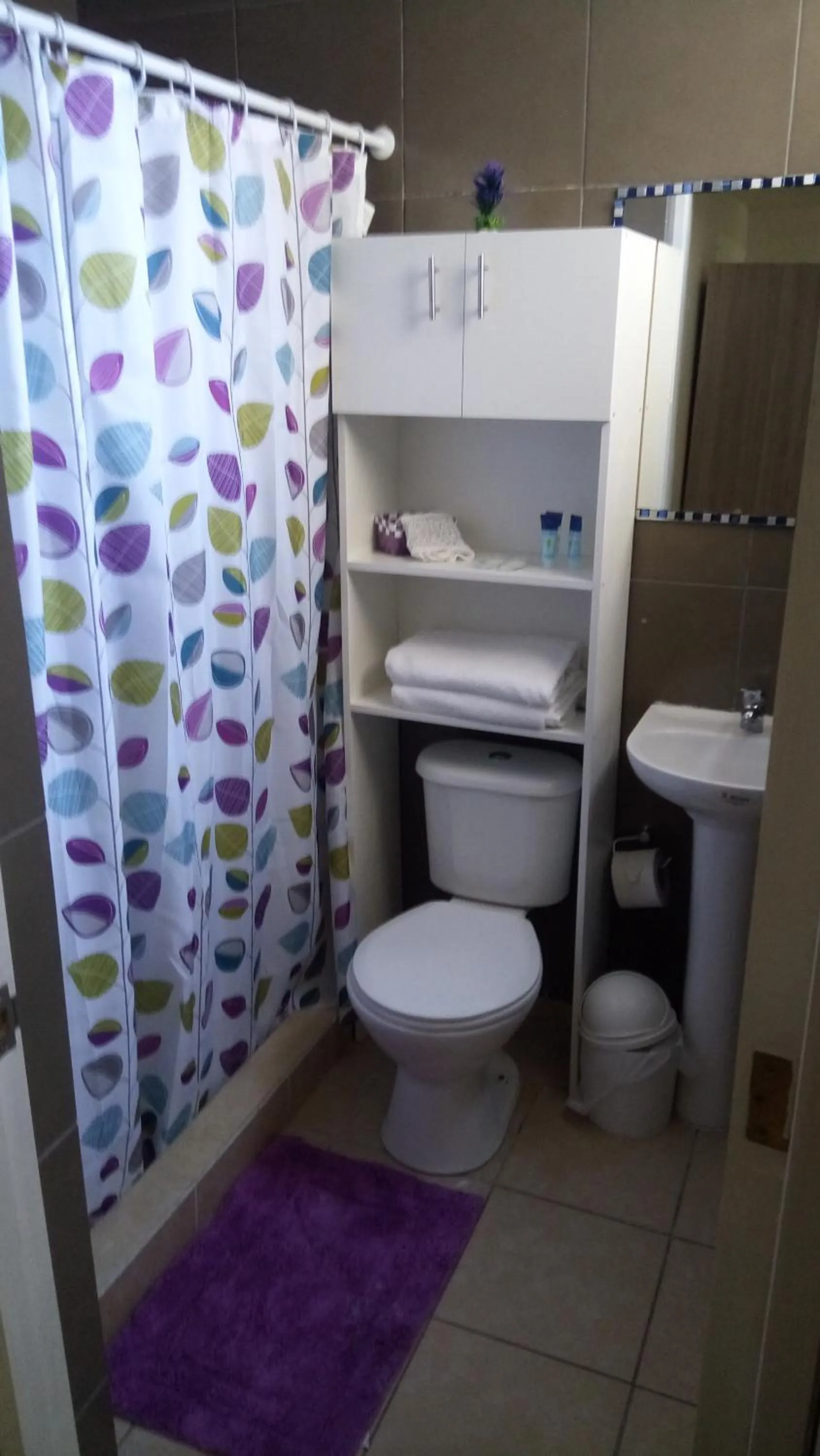 Toilet in Hostal Los Castaños
