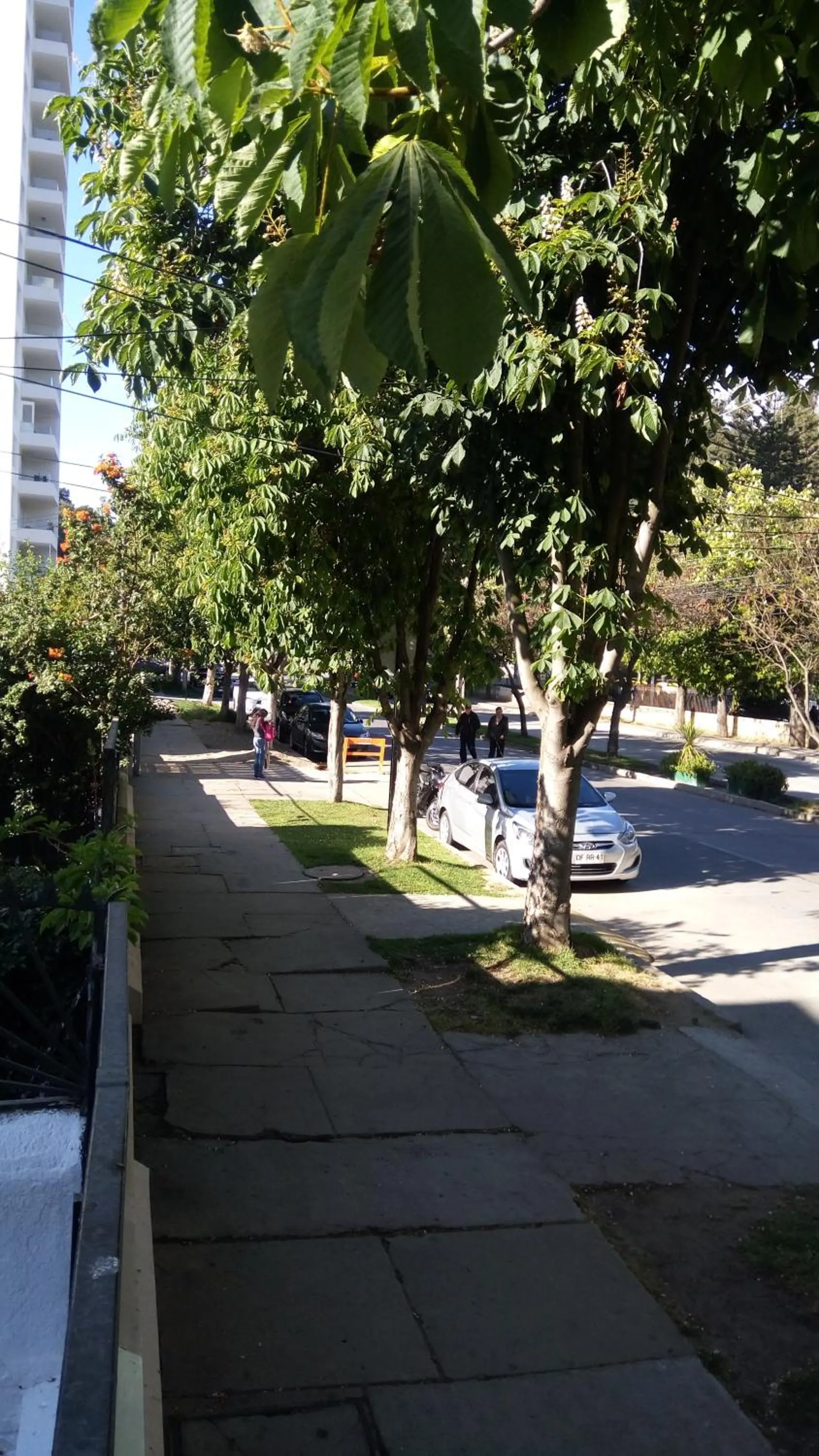 Street view in Hostal Los Castaños