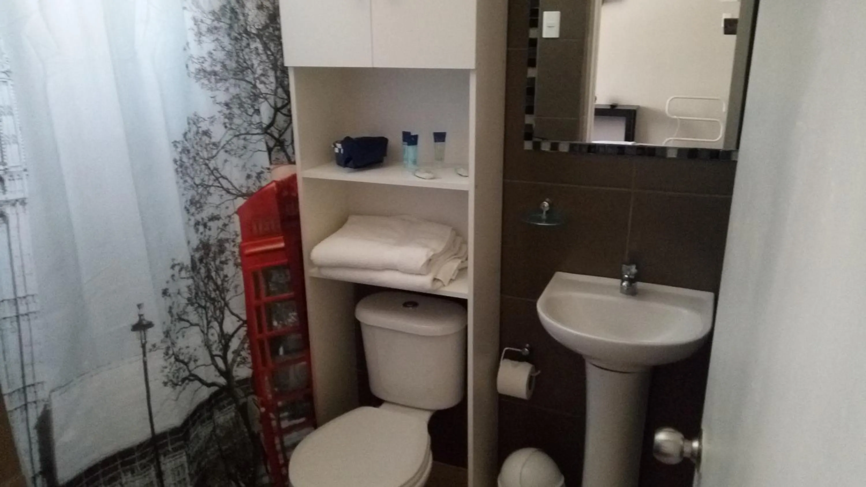 Toilet in Hostal Los Castaños