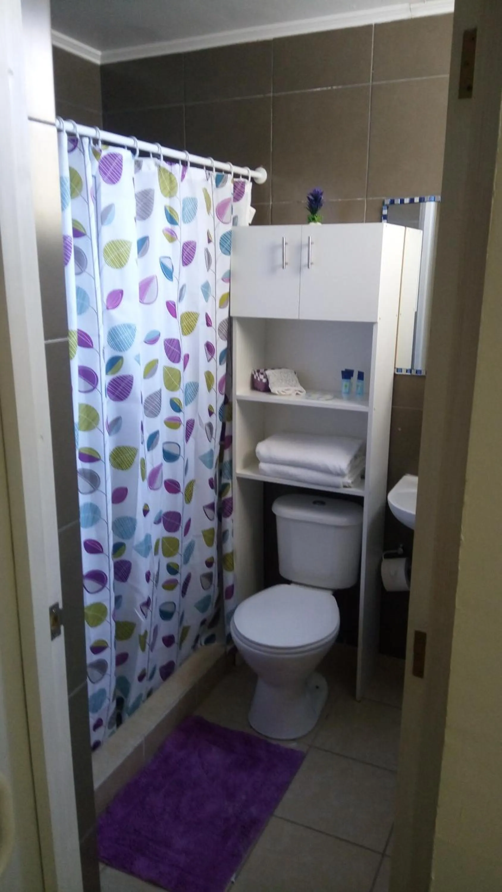 Toilet in Hostal Los Castaños