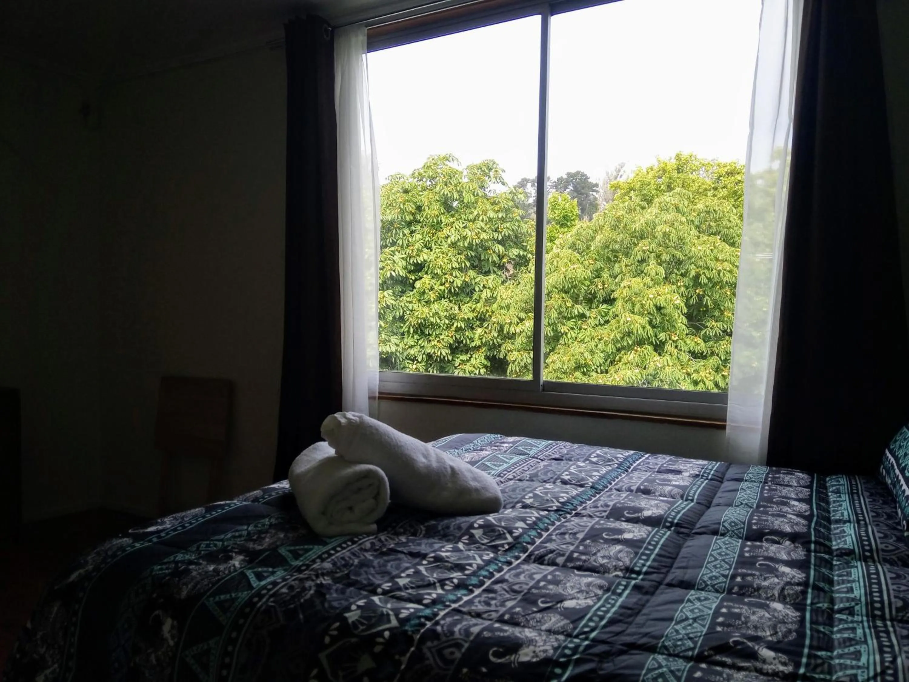Bed in Hostal Los Castaños