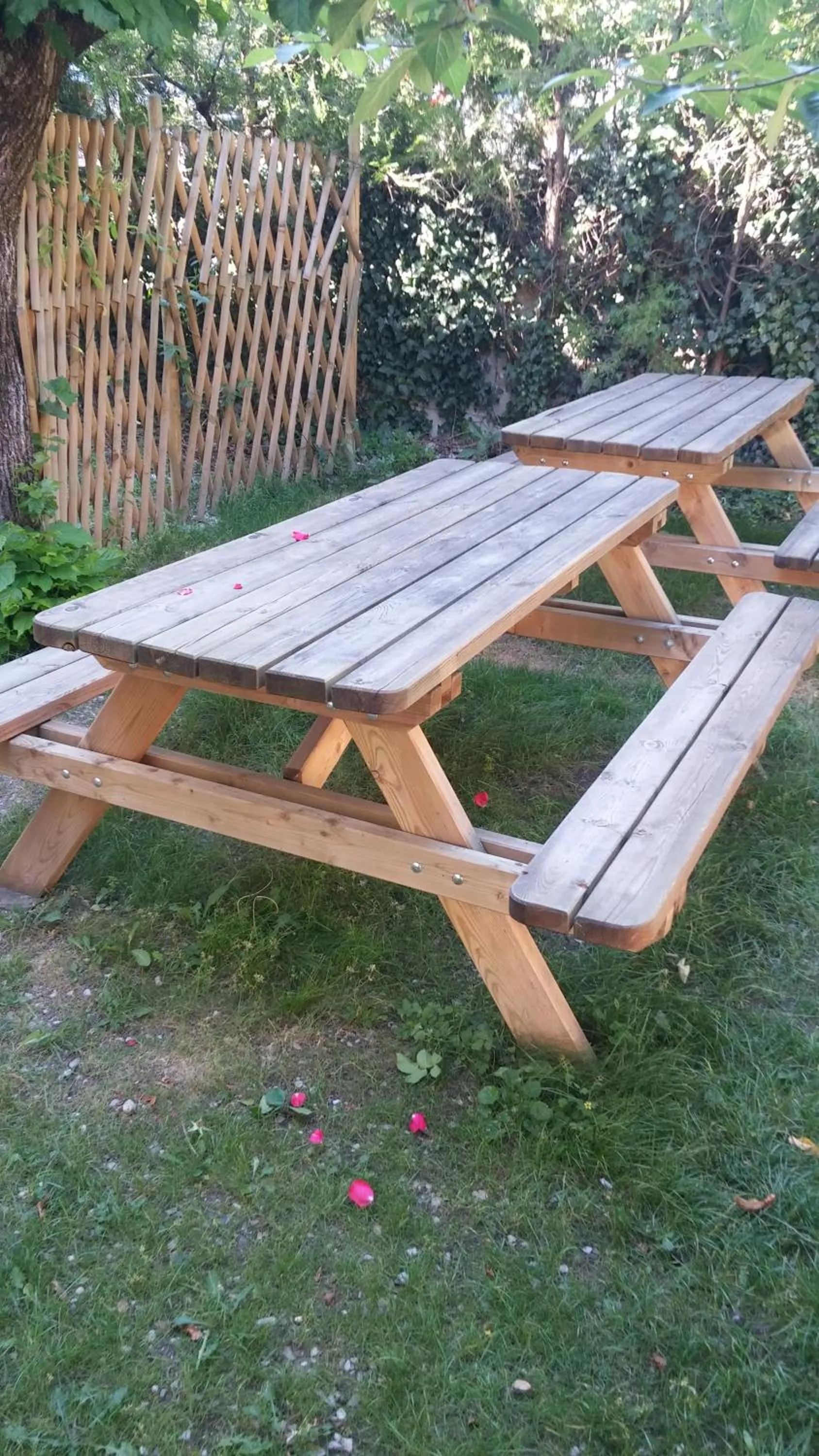 Garden in Hotel des Voyageurs