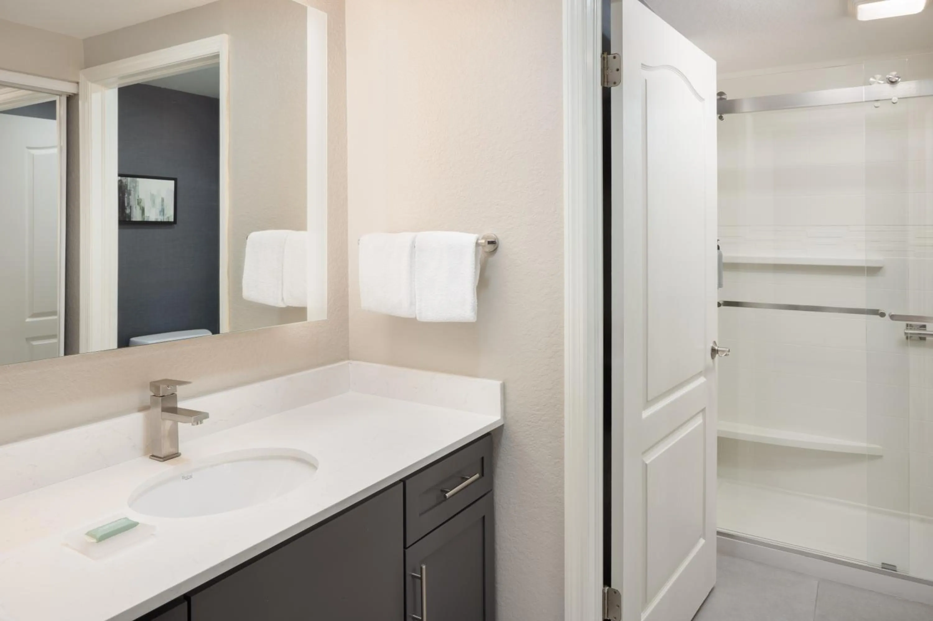 Shower in Residence Inn Tampa Suncoast Parkway at NorthPointe Village