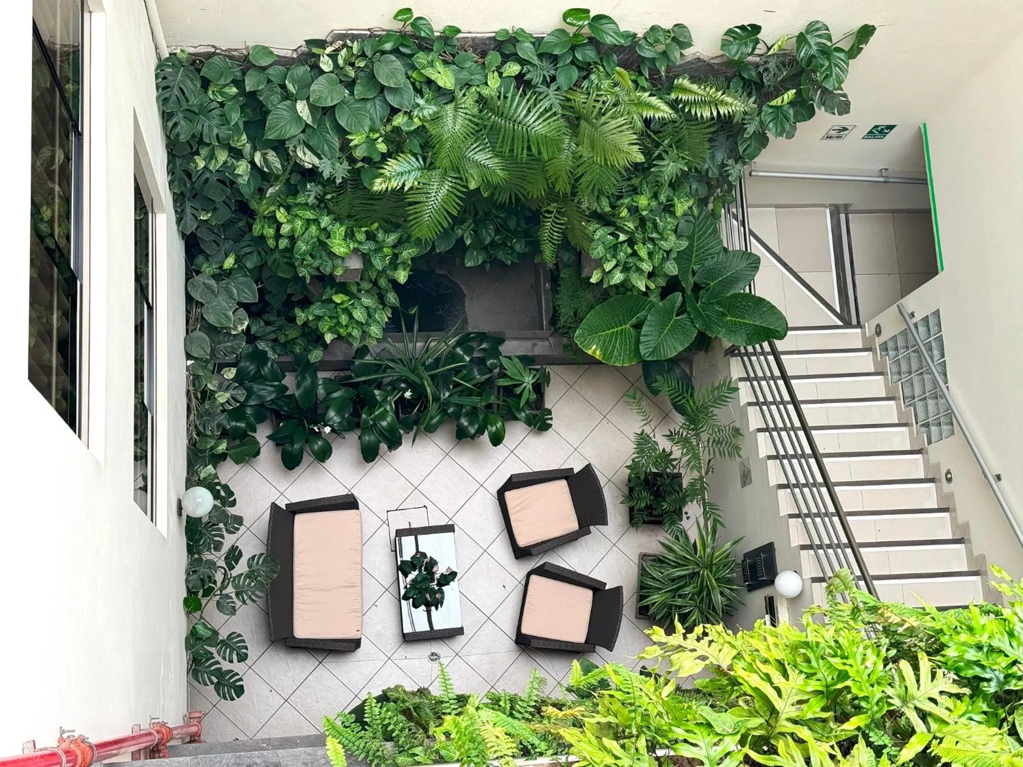 Garden in Casa Fanning Hotel