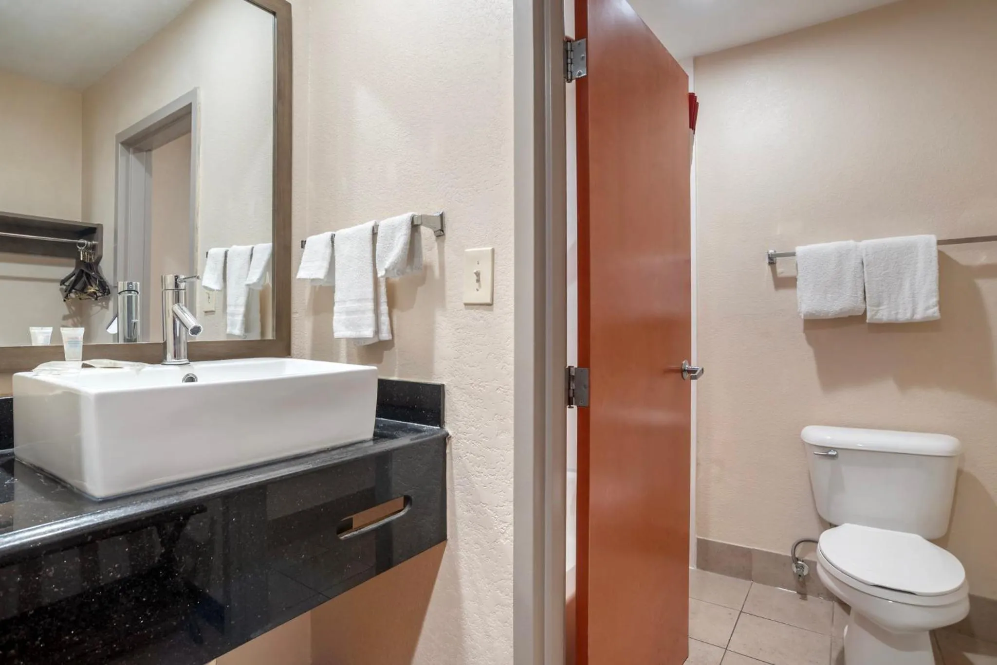 Bathroom in Red Roof PLUS & Suites Vicksburg