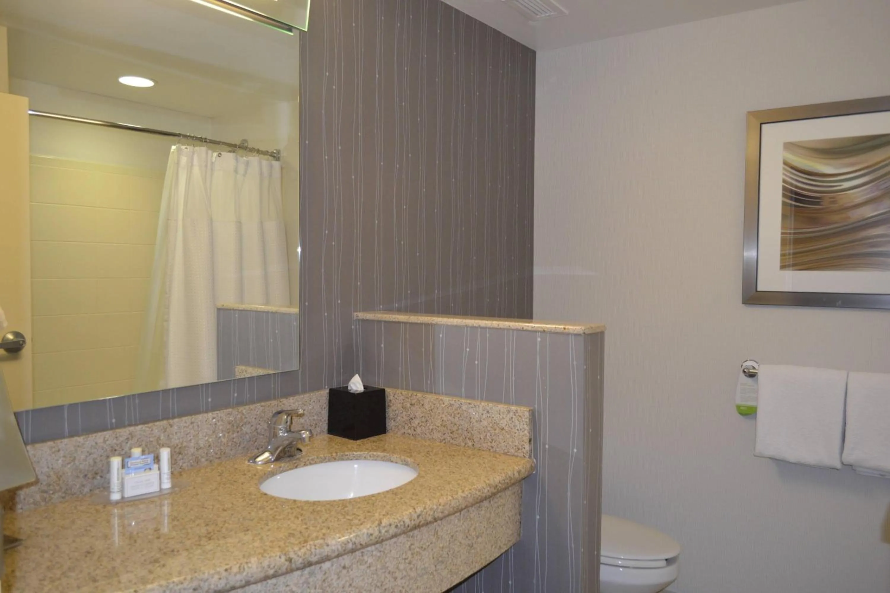 Bathroom in Courtyard by Marriott Winchester Medical Center