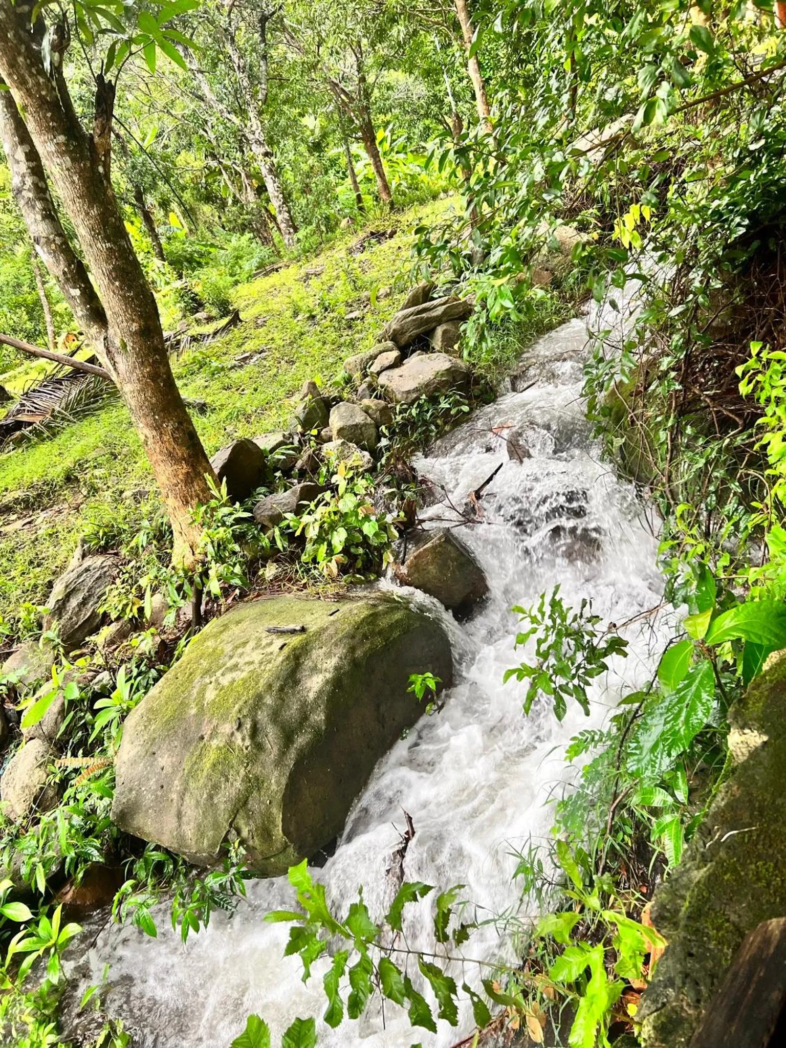 Freedom Beach Resort