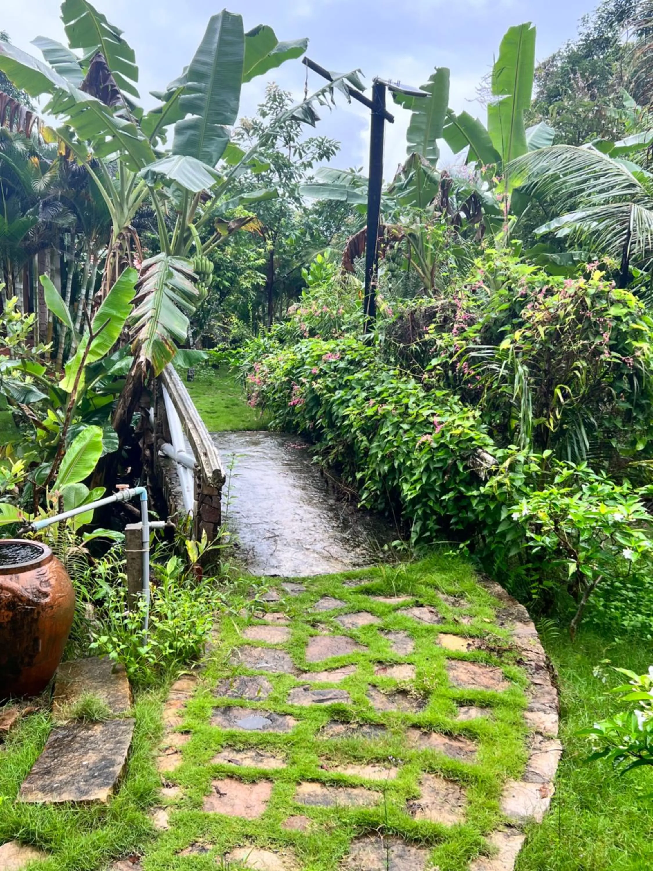 Day in Freedom Beach Resort