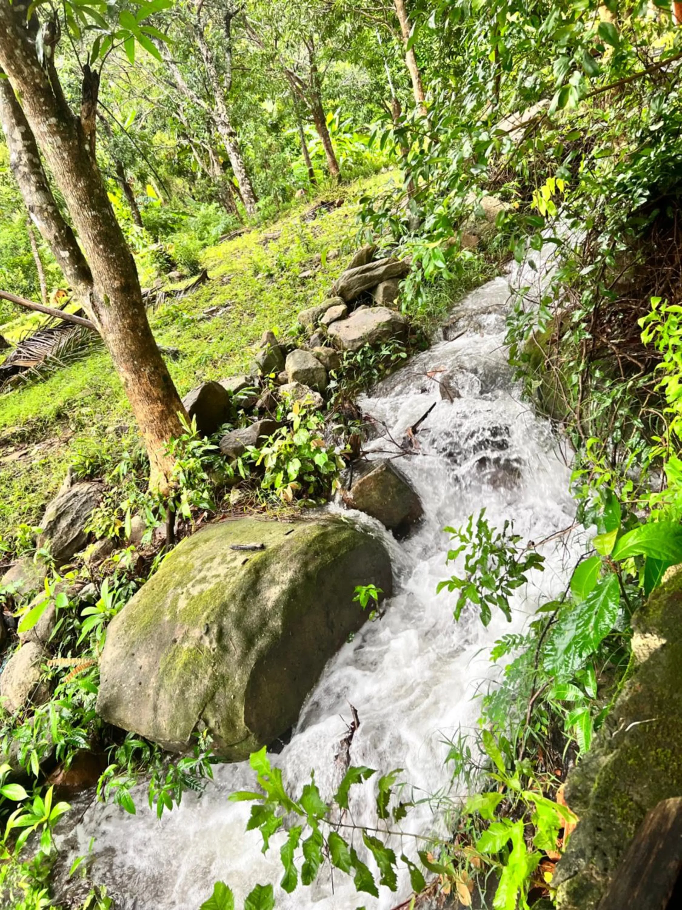 Nearby landmark in Freedom Beach Resort