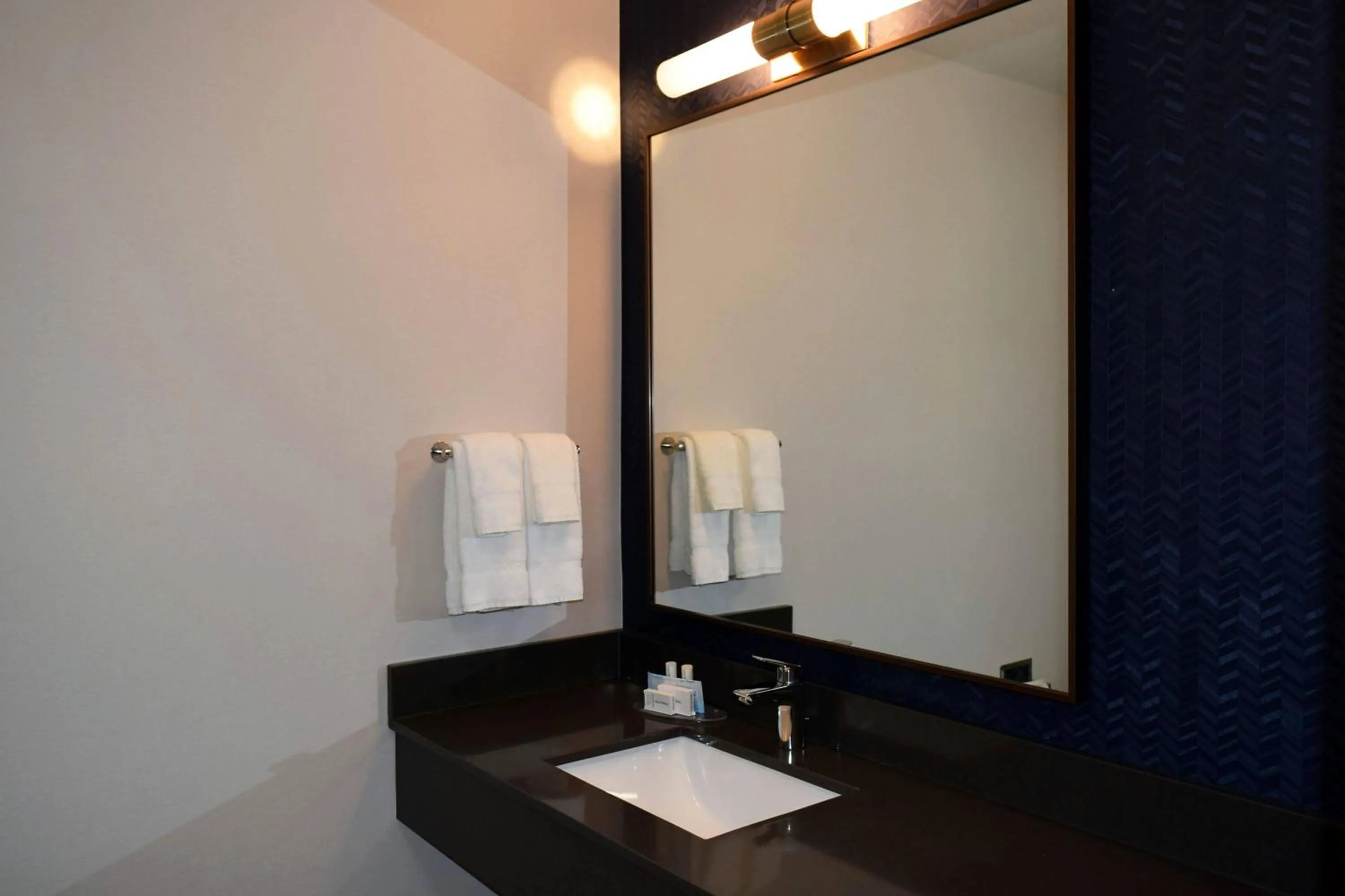 Bathroom in Fairfield by Marriott Youngstown/Austintown