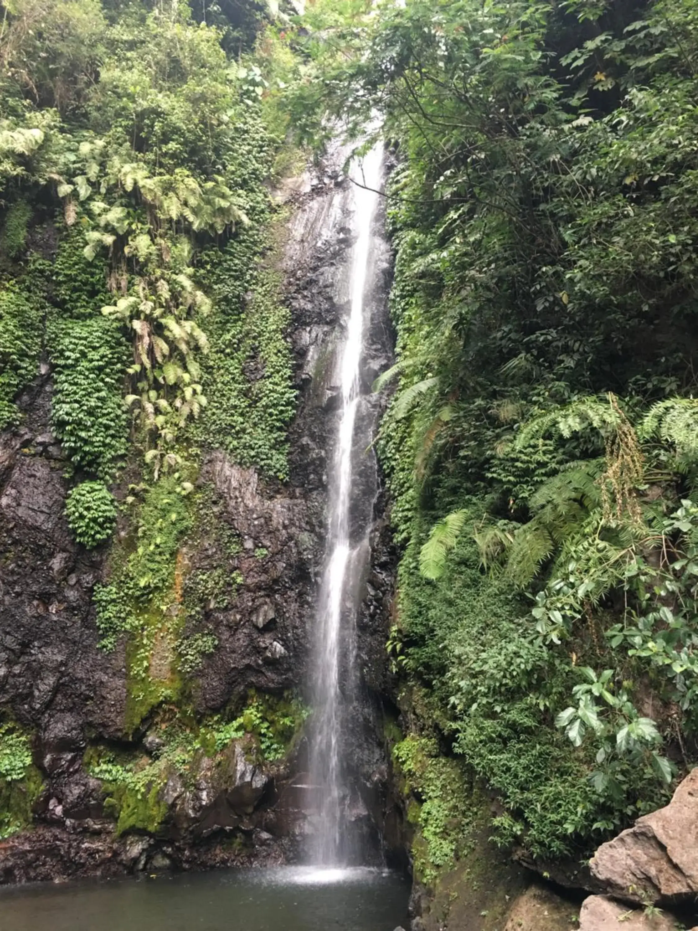 Natural landscape in Arainn Bed & Breakfast Tretes Prigen by ecommerceloka Natural landscape in Arainn Bed & Breakfast Tretes Prigen by ecommerceloka