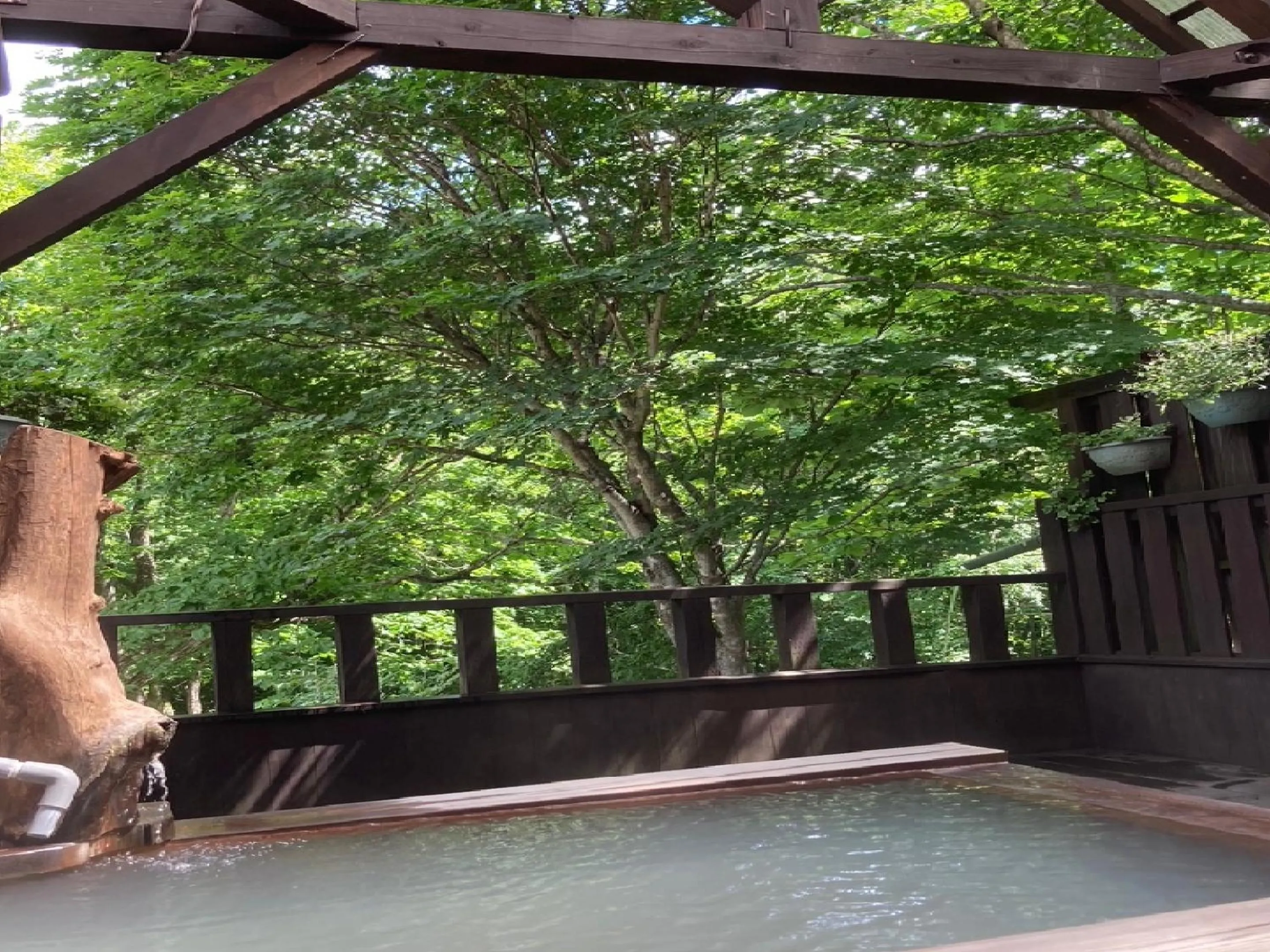 Spa and wellness centre/facilities in Shinyu Onsen Kurikomaso