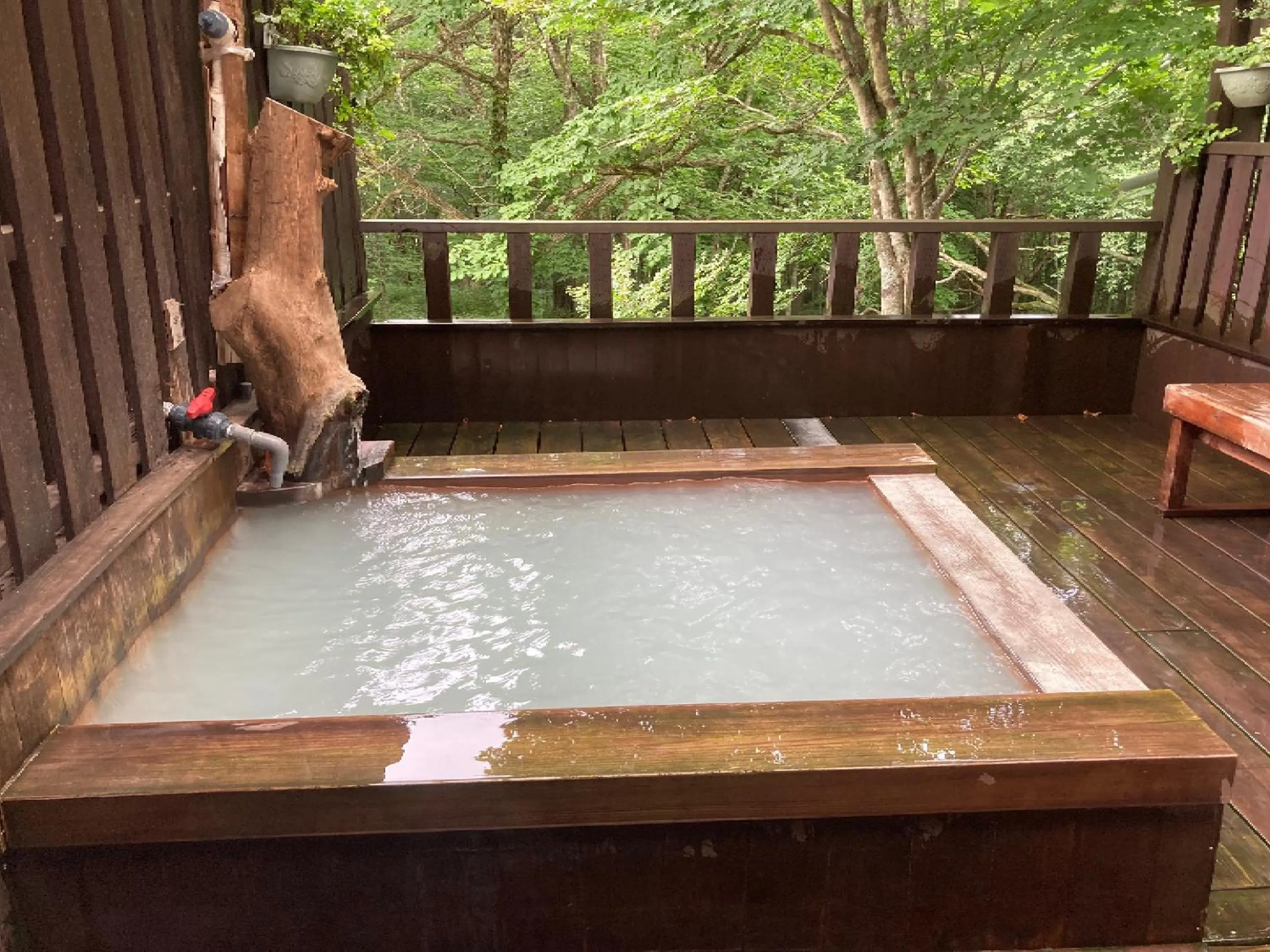 Shinyu Onsen Kurikomaso