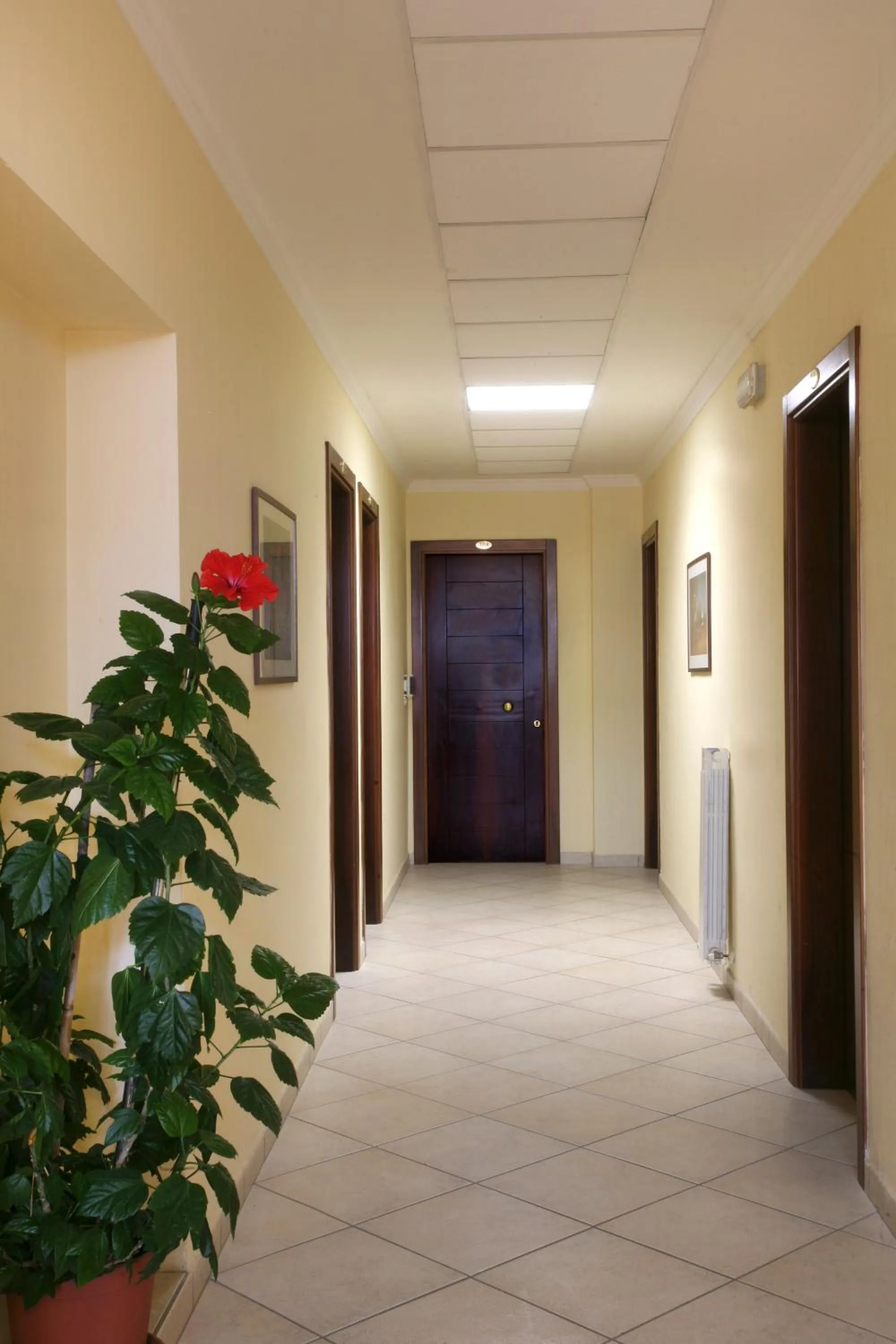 Other in Residence I Girasoli