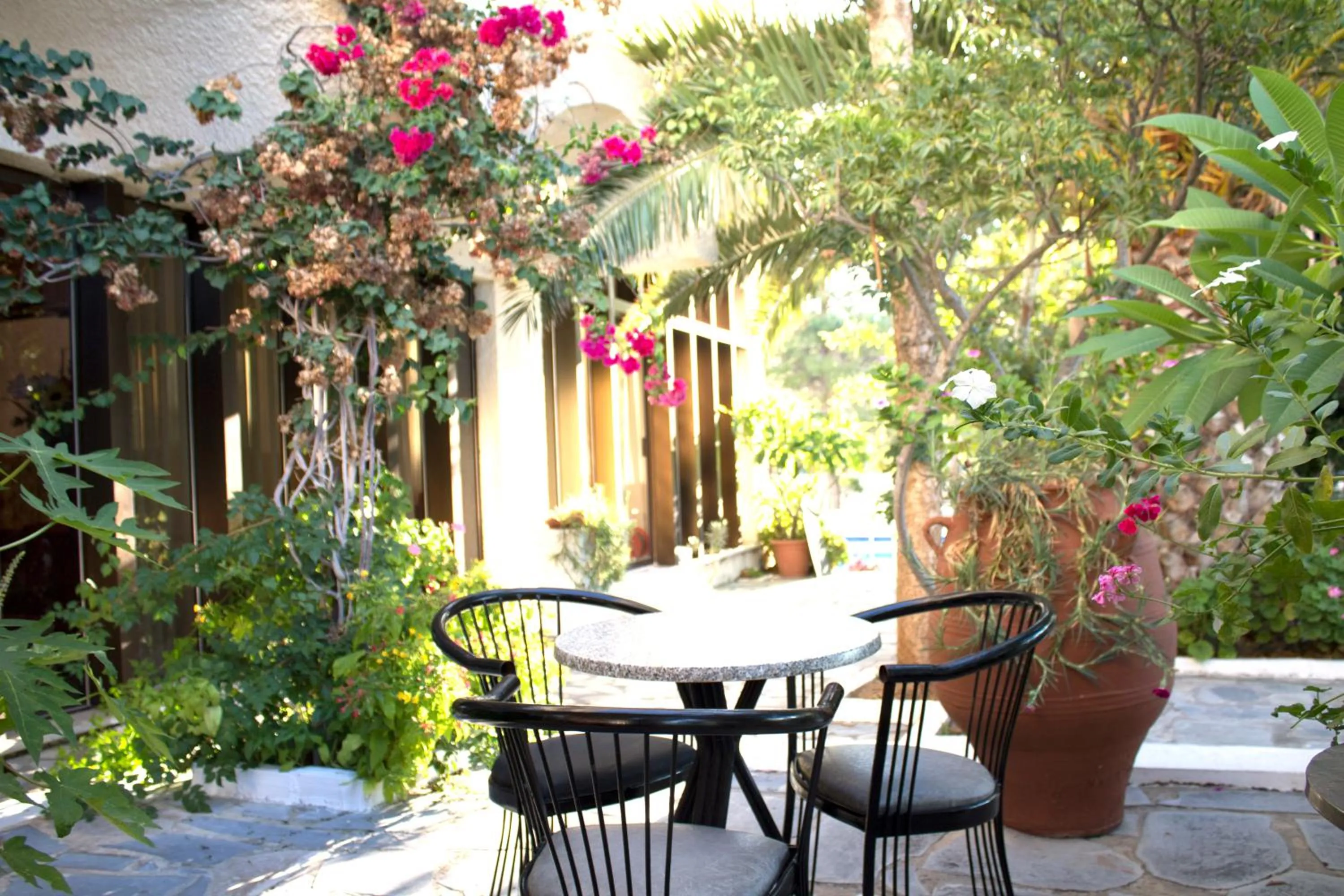 Garden in Esperides Hotel