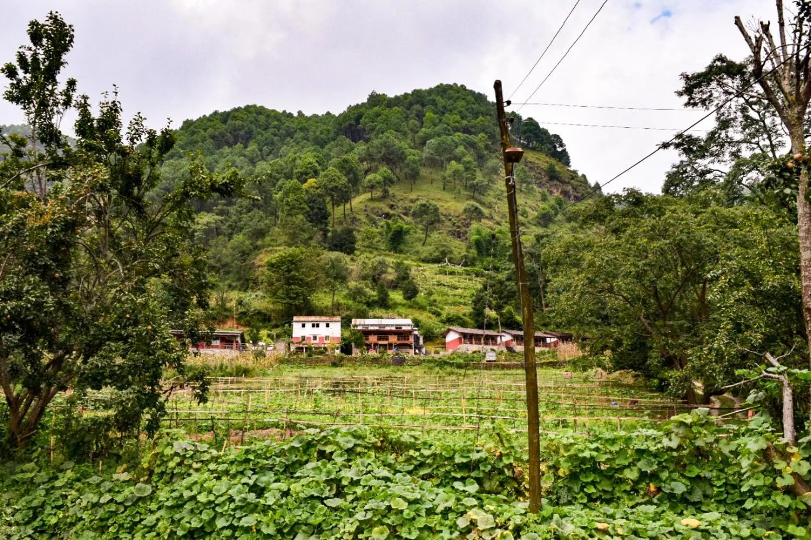 Property building in Solid Rock - Lodge & Restaurant