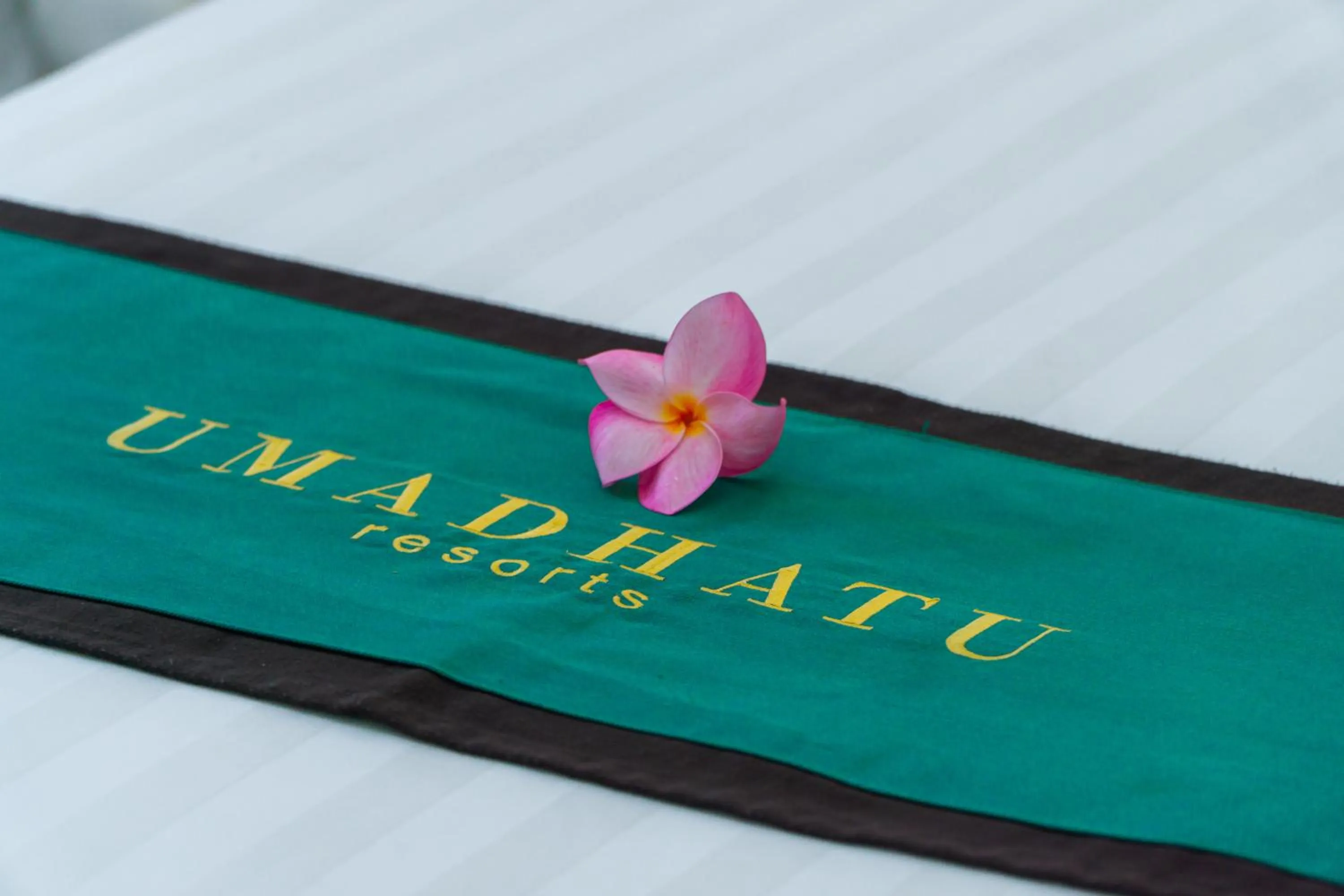 Property logo or sign in Umadhatu Resort by Amerta