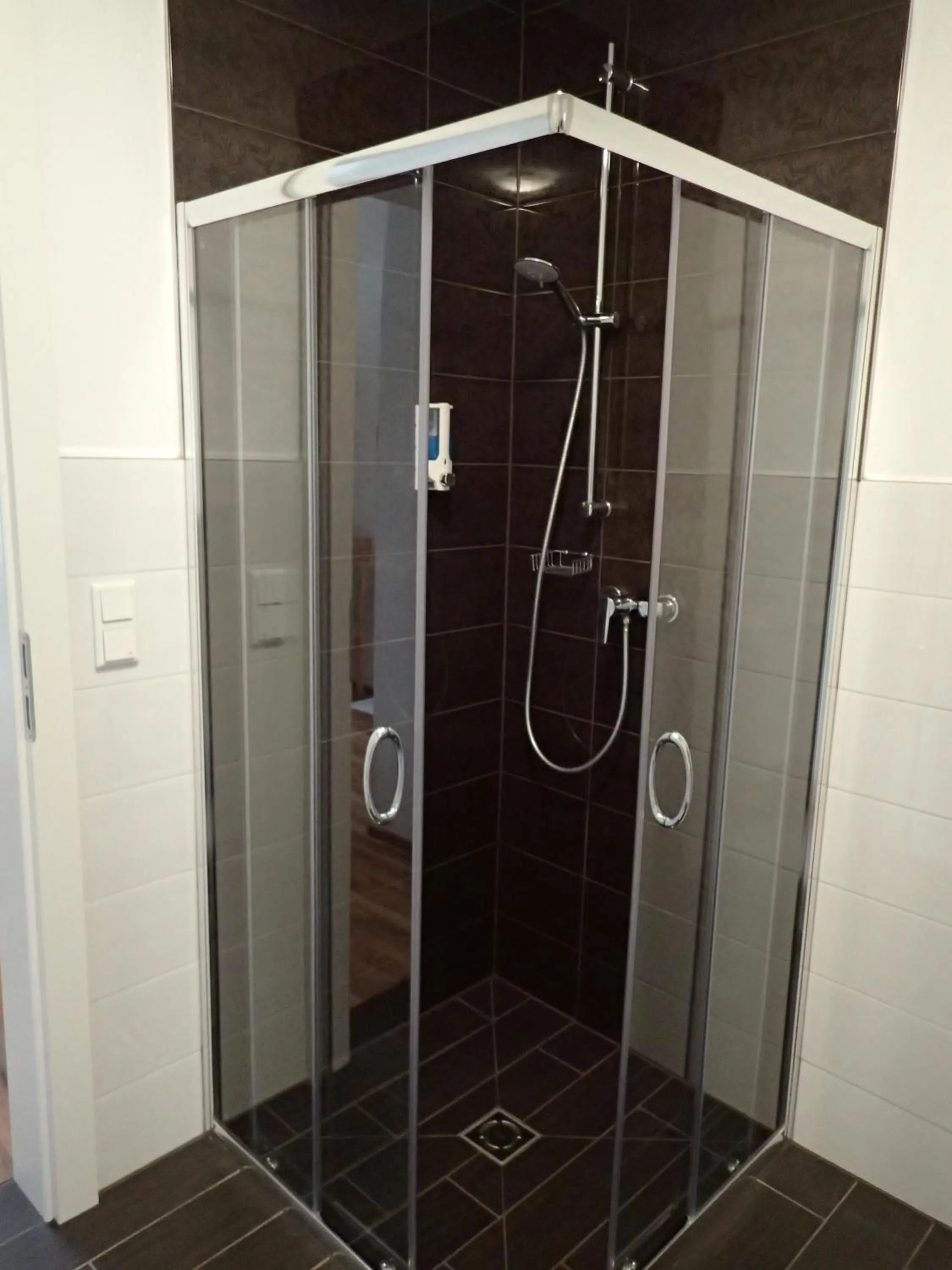 Shower in Gasthof zum Postwirt