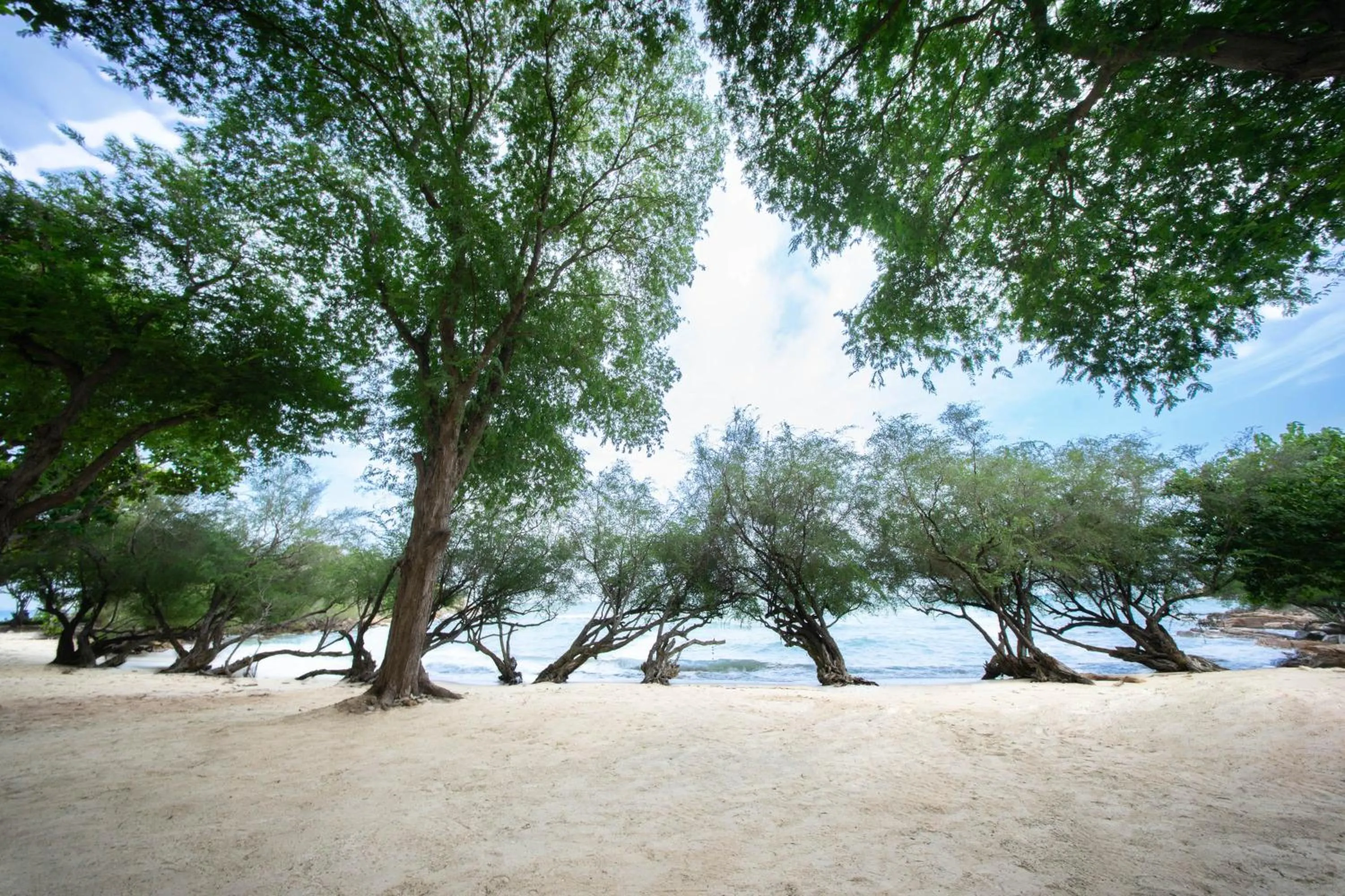 Natural landscape in Kira Baya Koh Samed