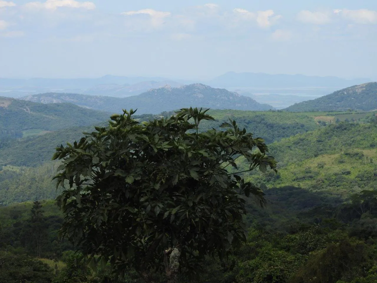 Natural landscape in Madrugada