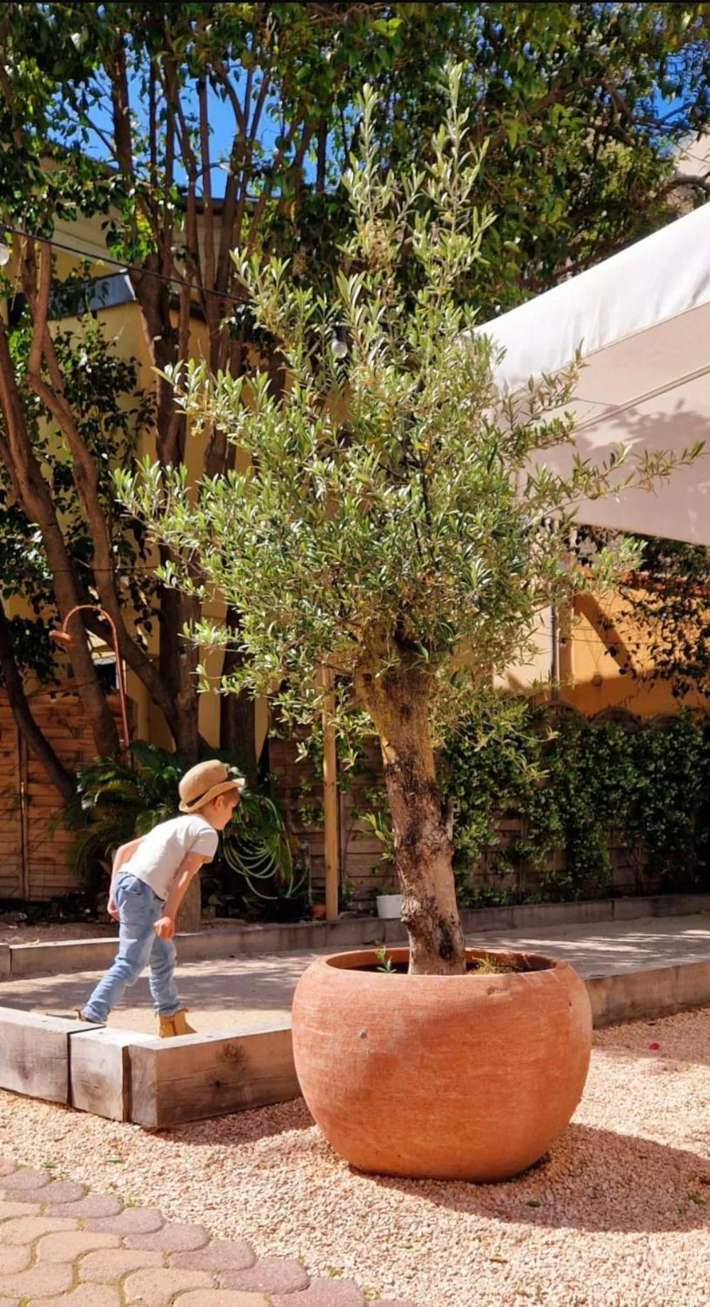 Garden in Hôtel De Londres
