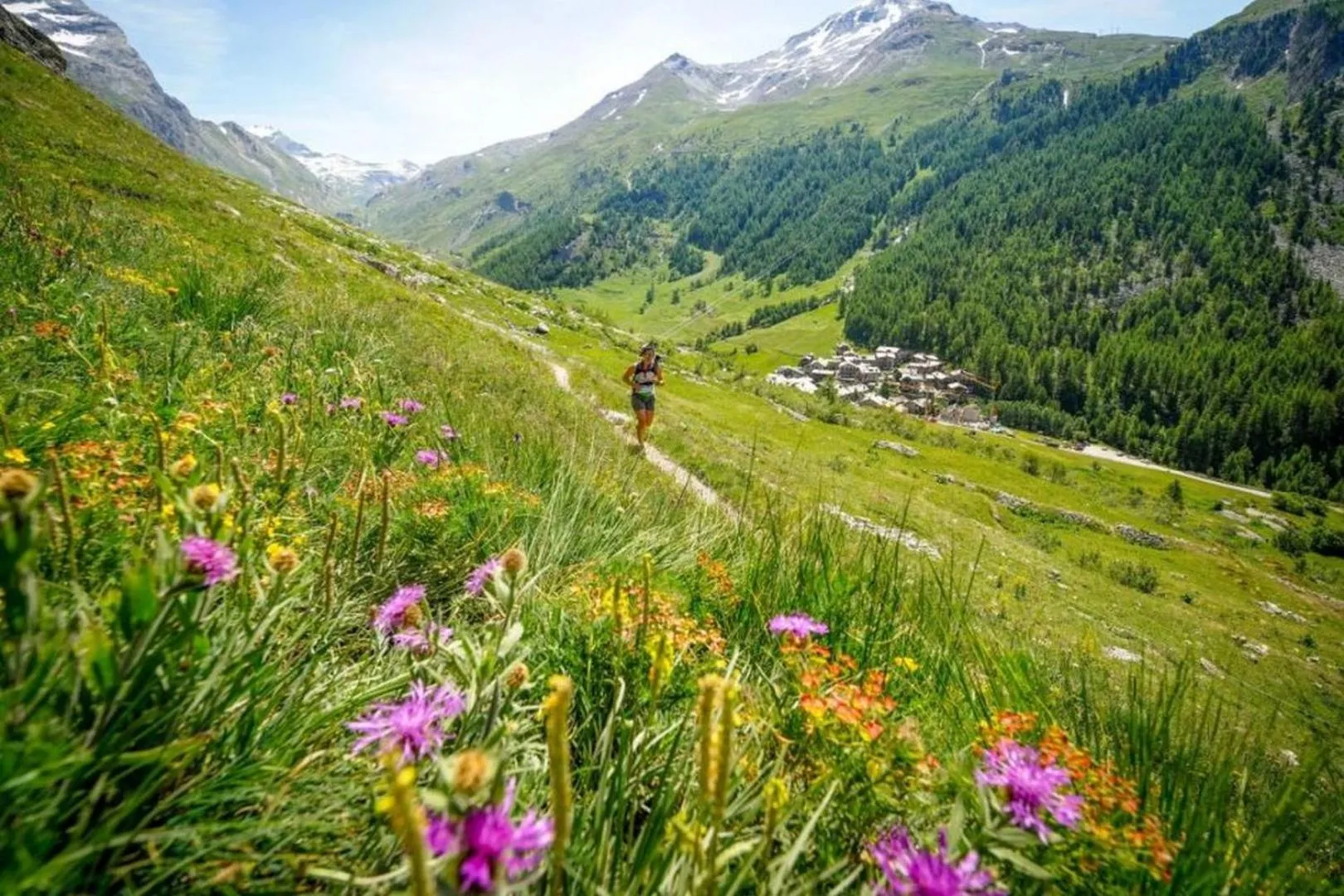 Summer in Apartment Chamois Blanc 6 - Chamonix Haven with great views