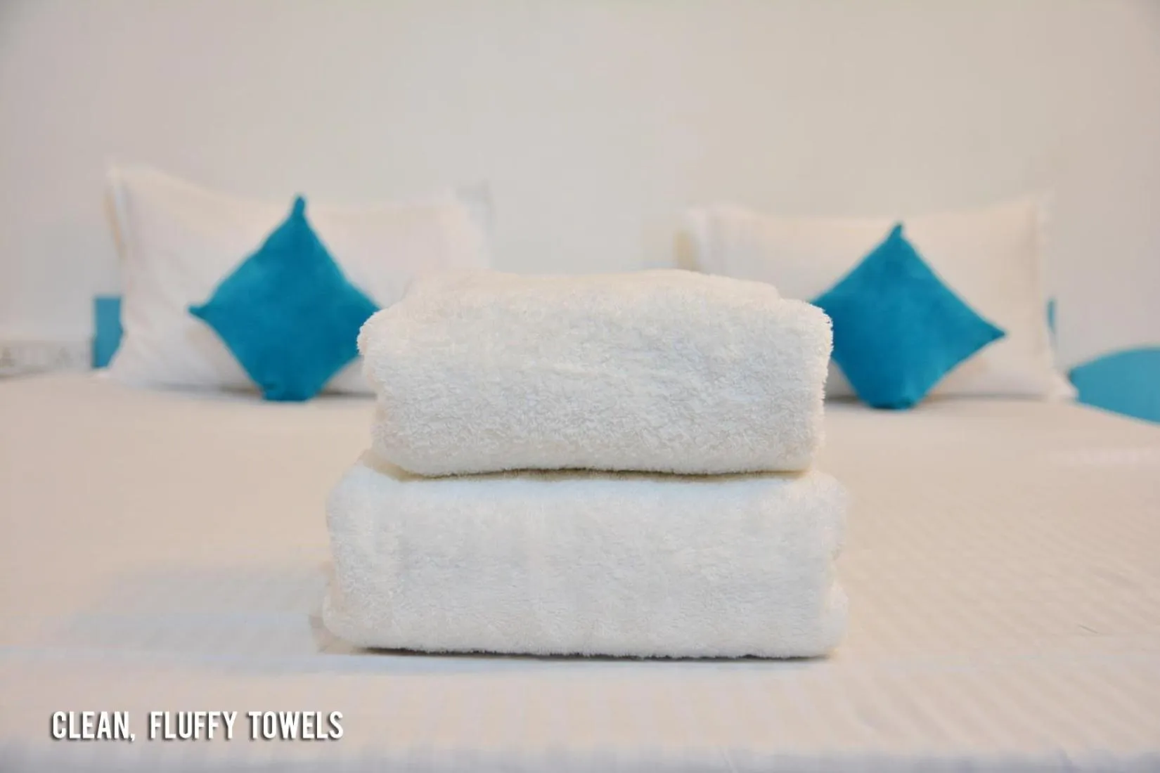 Bed in Elephant Pushkar