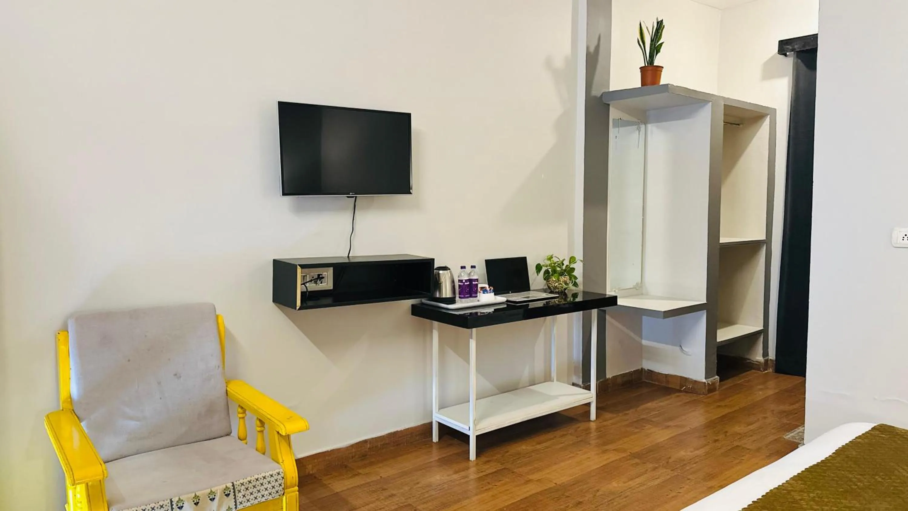 TV and multimedia in Elephant Pushkar