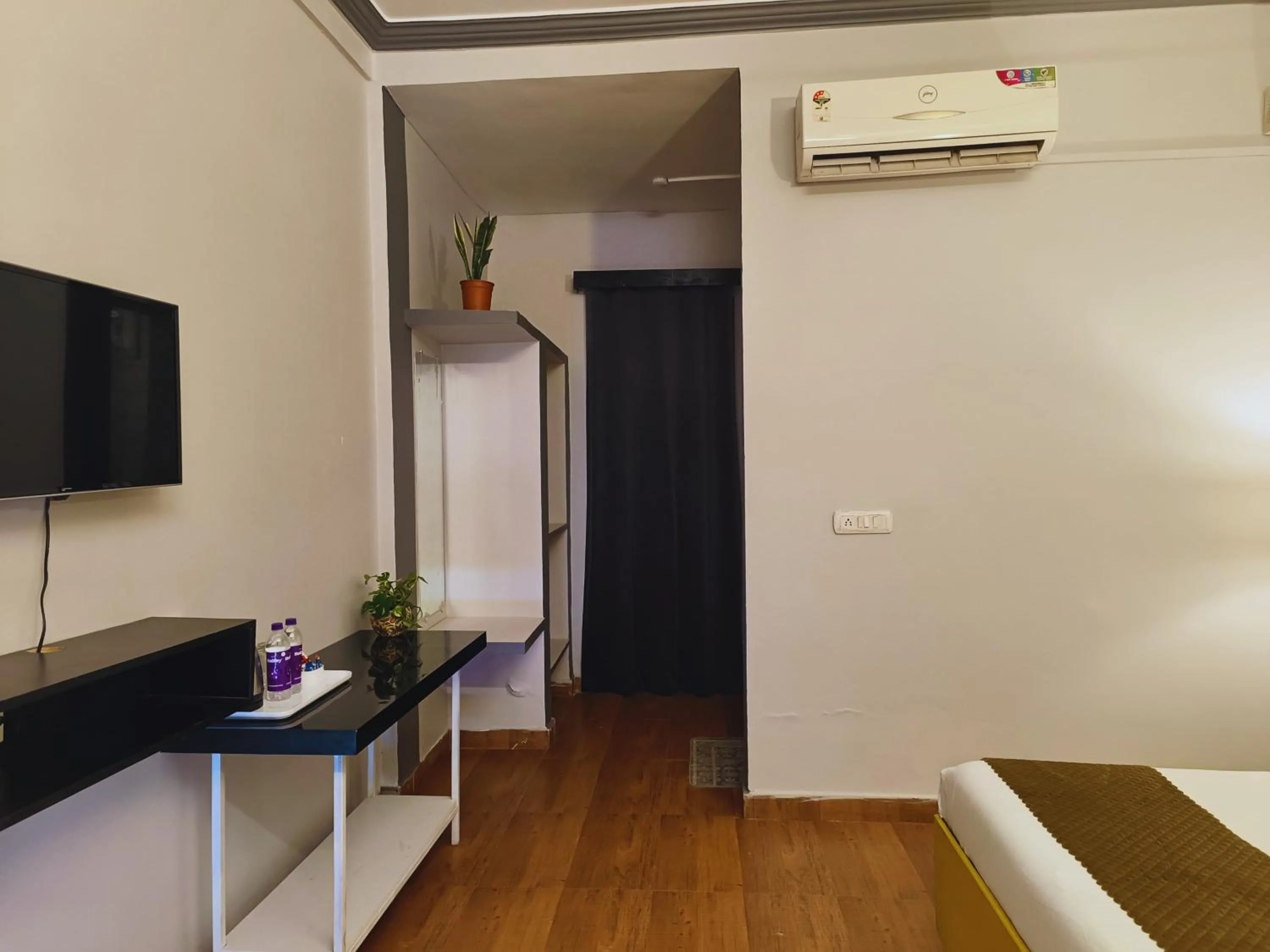 TV and multimedia in Elephant Pushkar