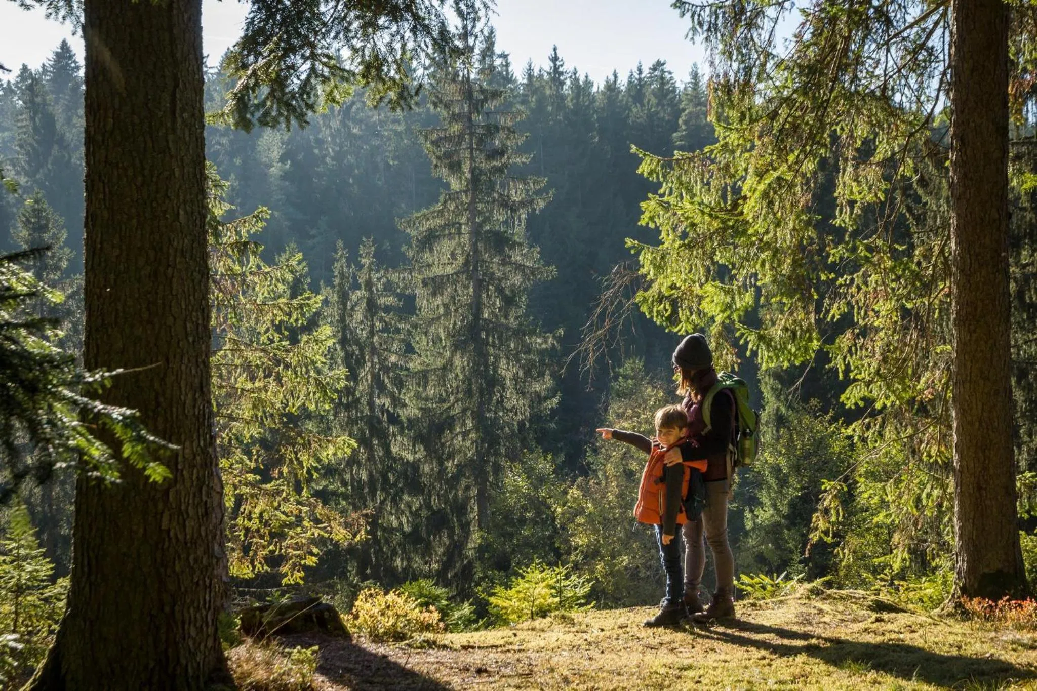 Nearby landmark in Holiday Inn - Villingen - Schwenningen by IHG