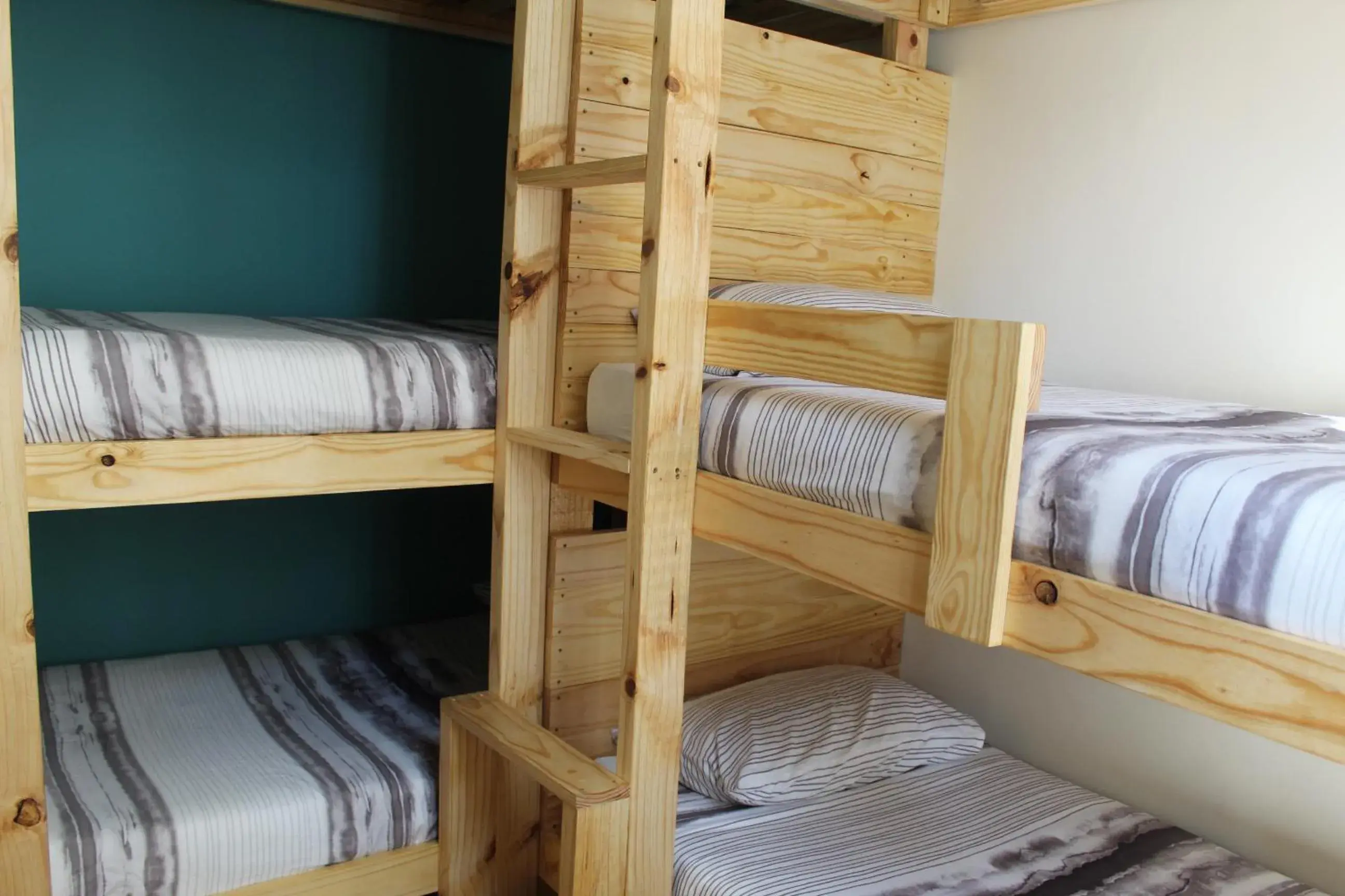 Bed in 6-Bed Mixed Dormitory Room in Urban Hive Backpackers Bed in 6-Bed Mixed Dormitory Room in Urban Hive Backpackers