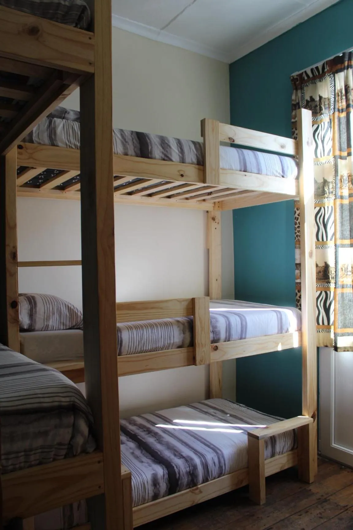 Bed in Urban Hive Backpackers