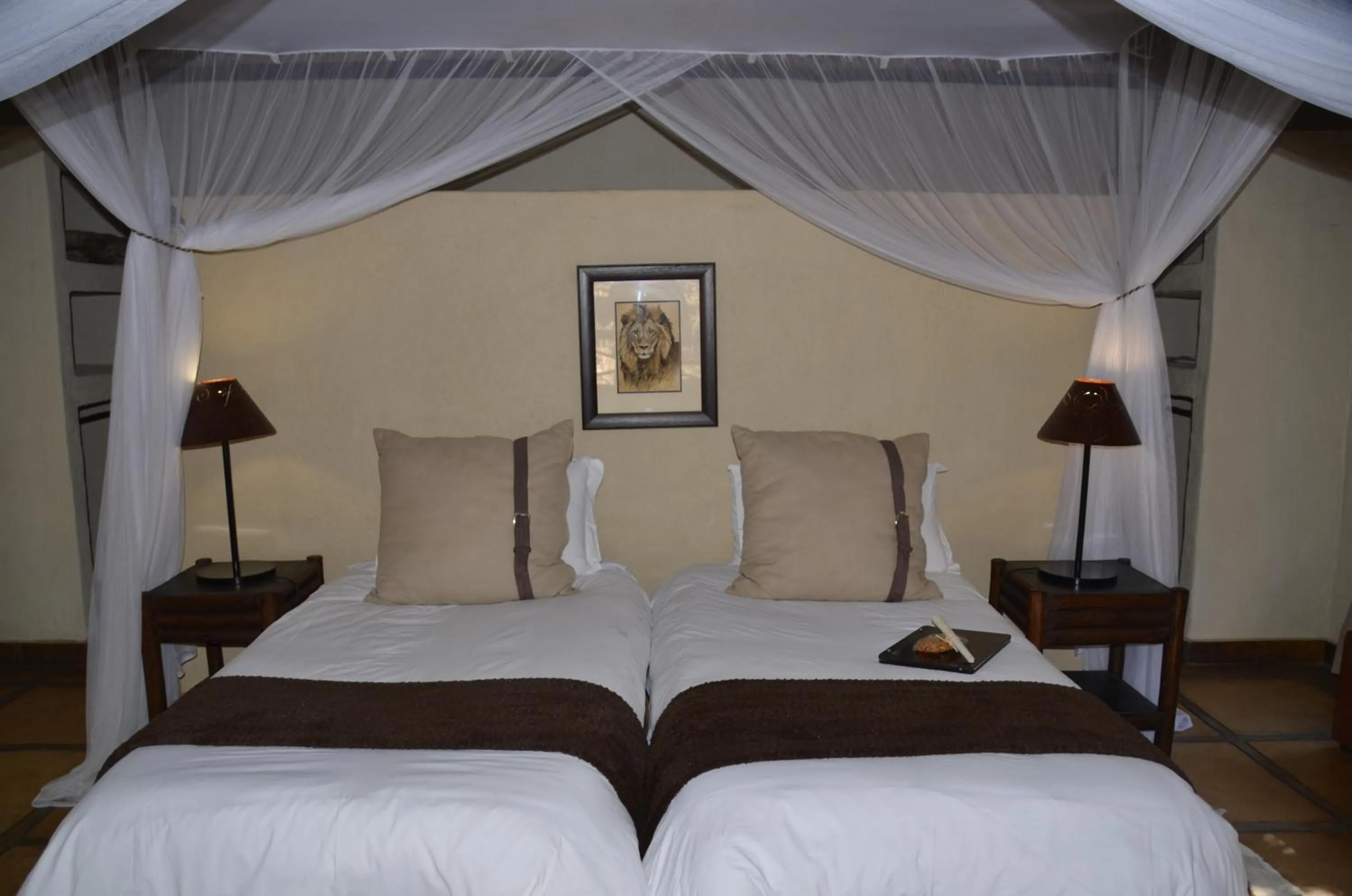 Moholoholo Forest Camp