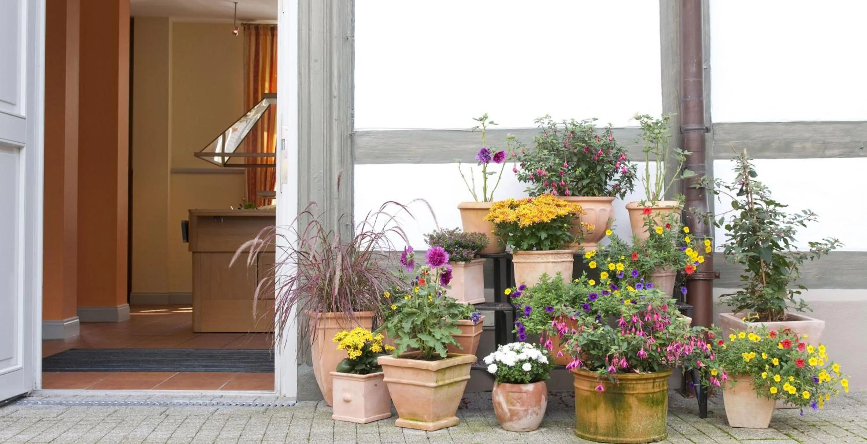 Garden view in GDA Hotel Schwiecheldthaus