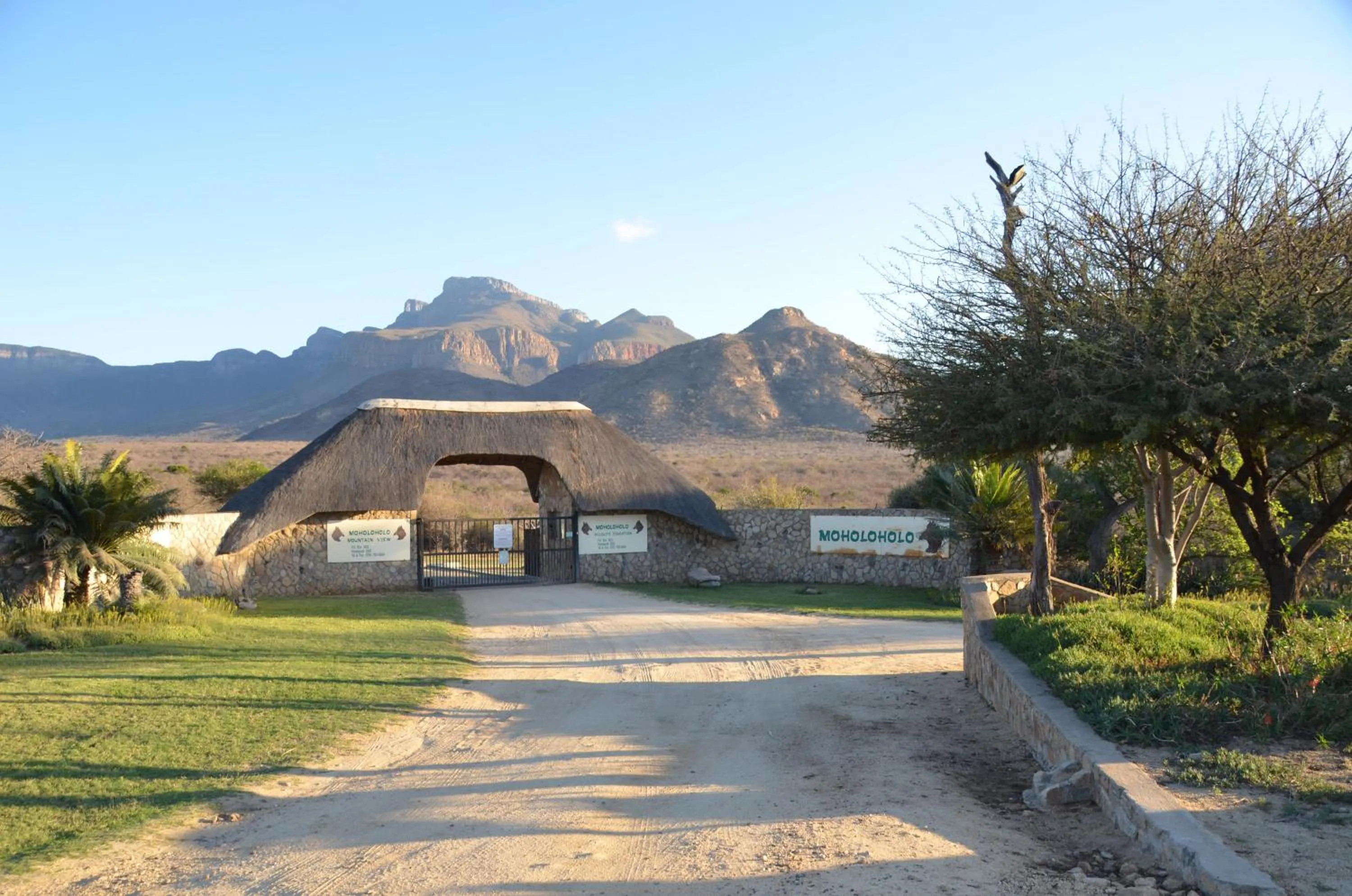 Moholoholo Mountain View