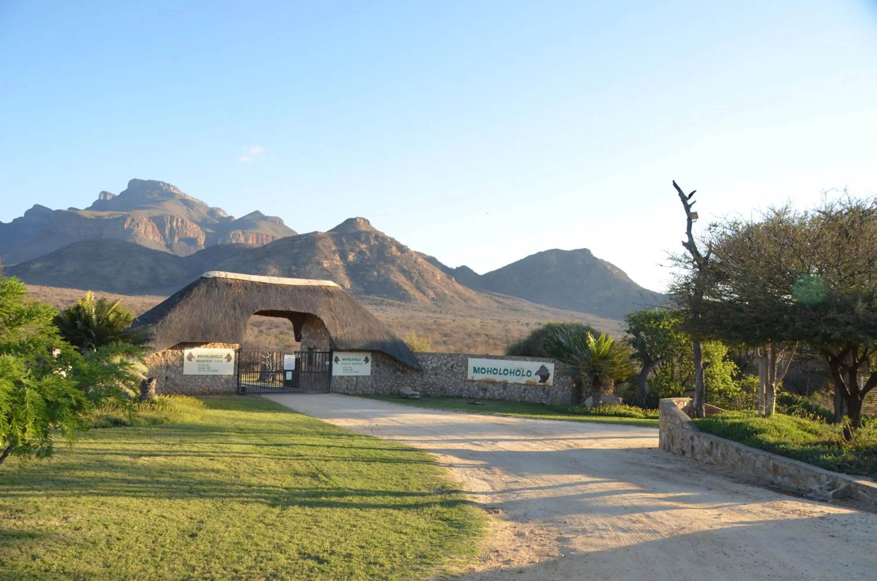 Moholoholo Mountain View