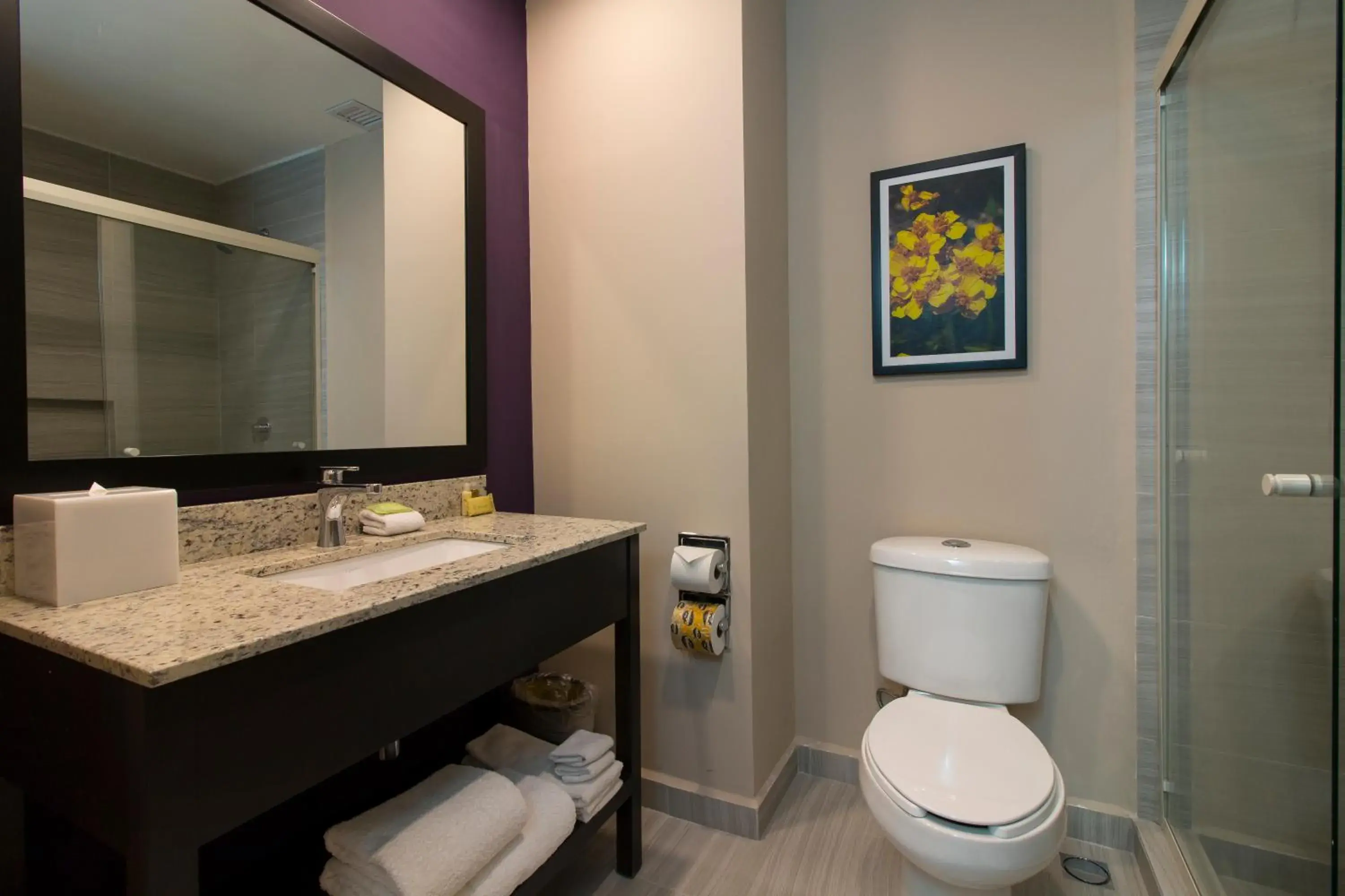 King Room - single occupancy - Mobility Access/Non-Smoking in CHN Hotel Monterrey Aeropuerto, Trademark by Wyndham King Room - single occupancy - Mobility Access/Non-Smoking in CHN Hotel Monterrey Aeropuerto, Trademark by Wyndham