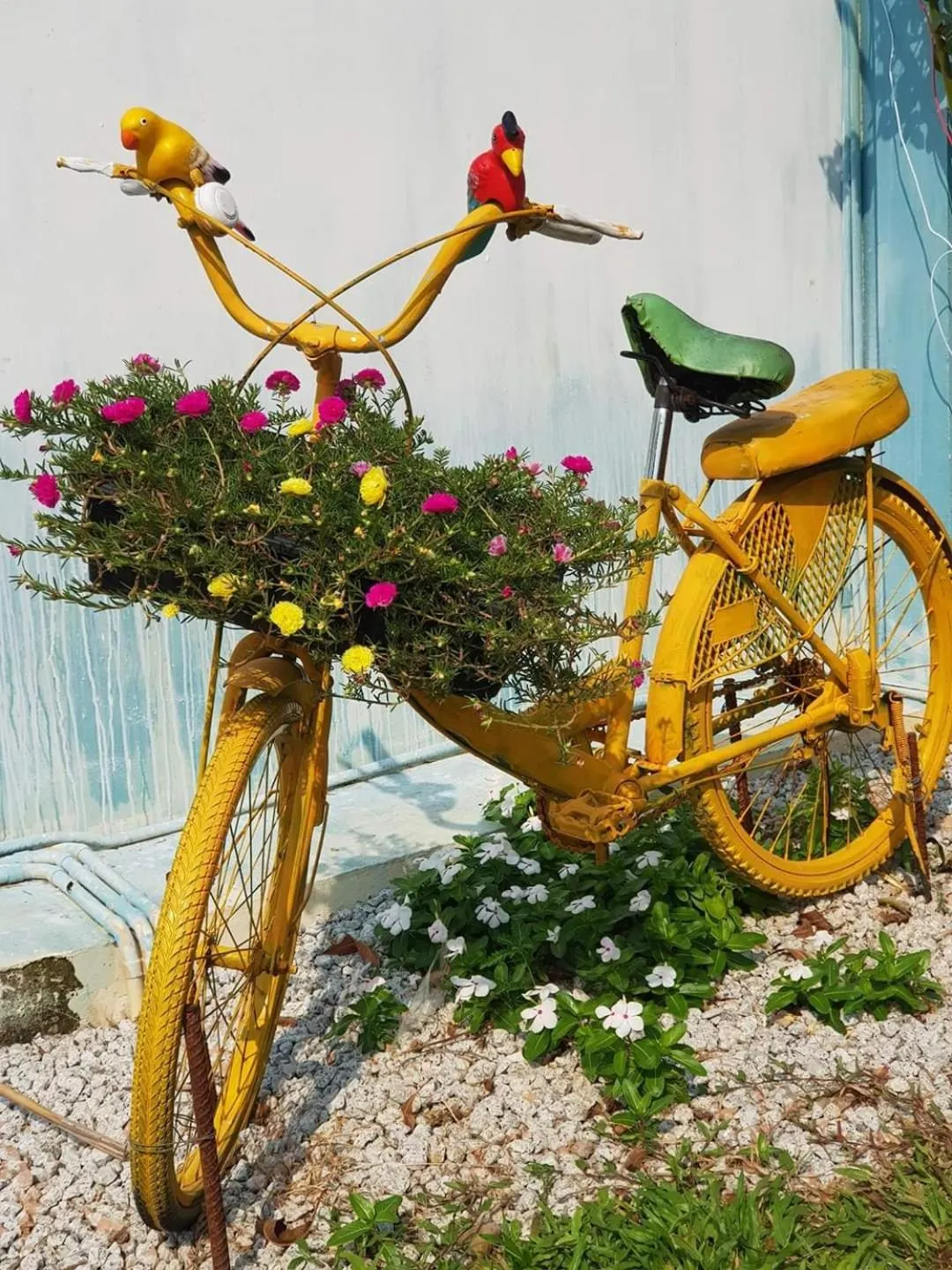 The Moonlight Resort