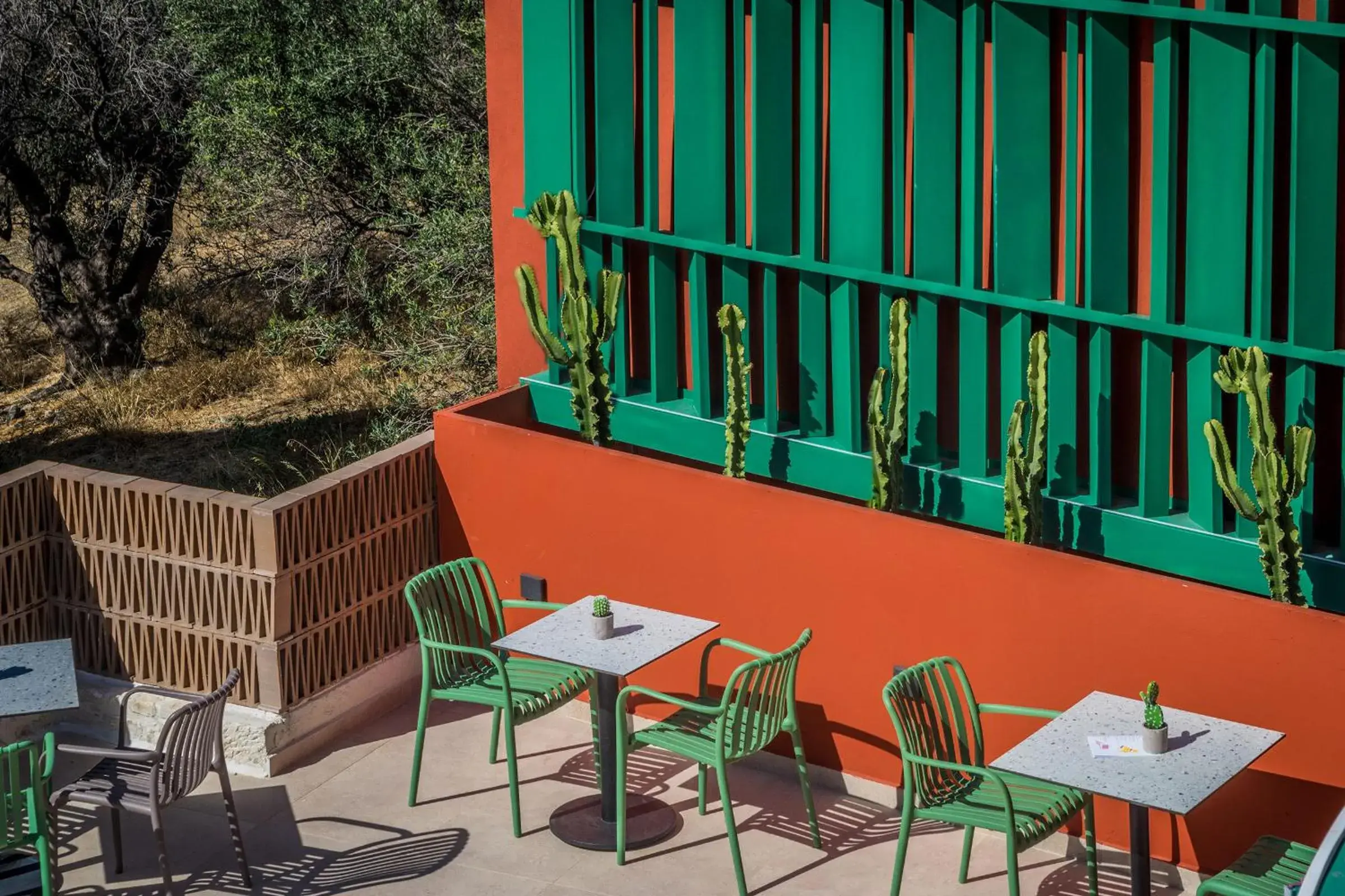 Lounge or bar in Dream Village Lounge or bar in Dream Village